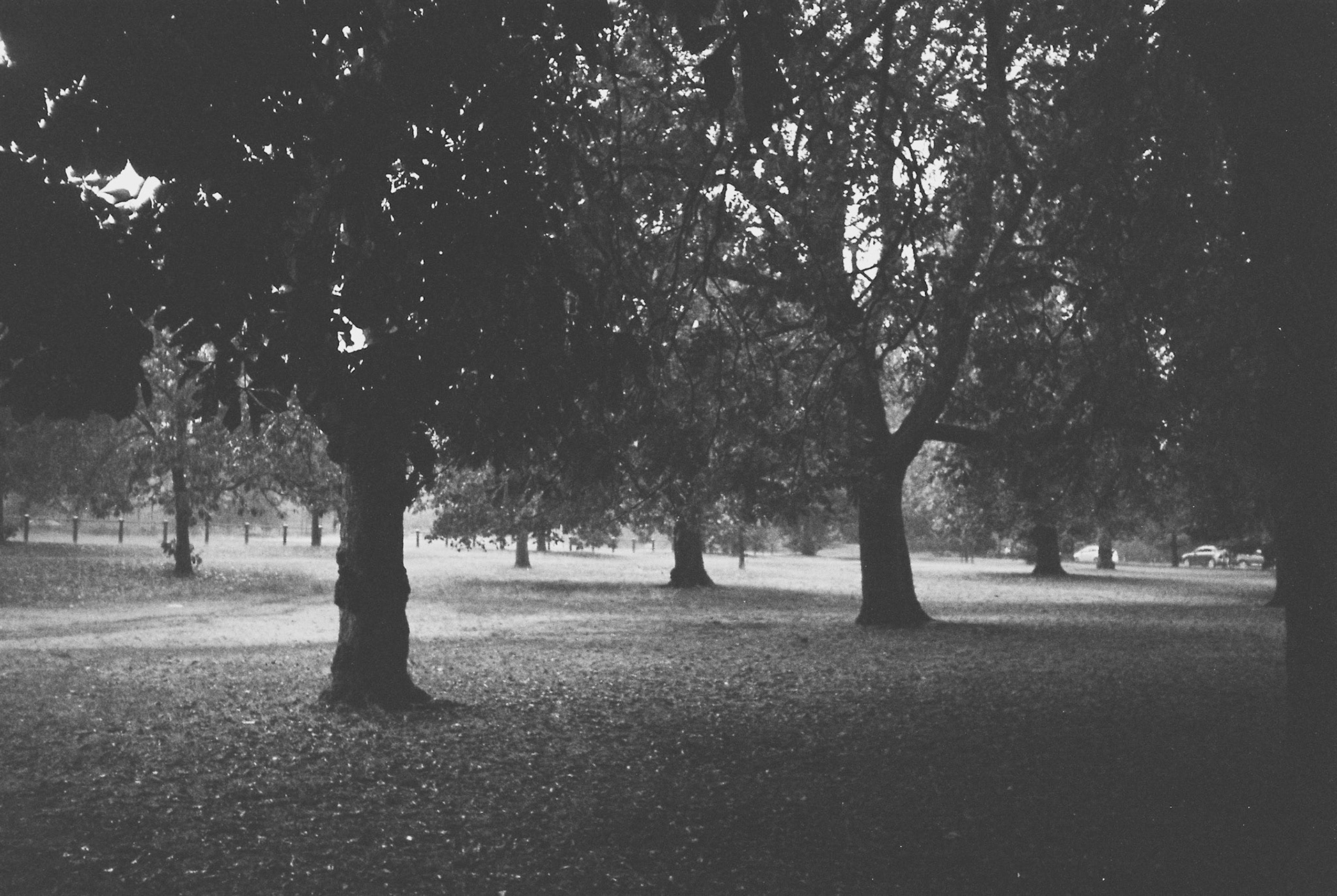 Processed with VSCO with b1 preset