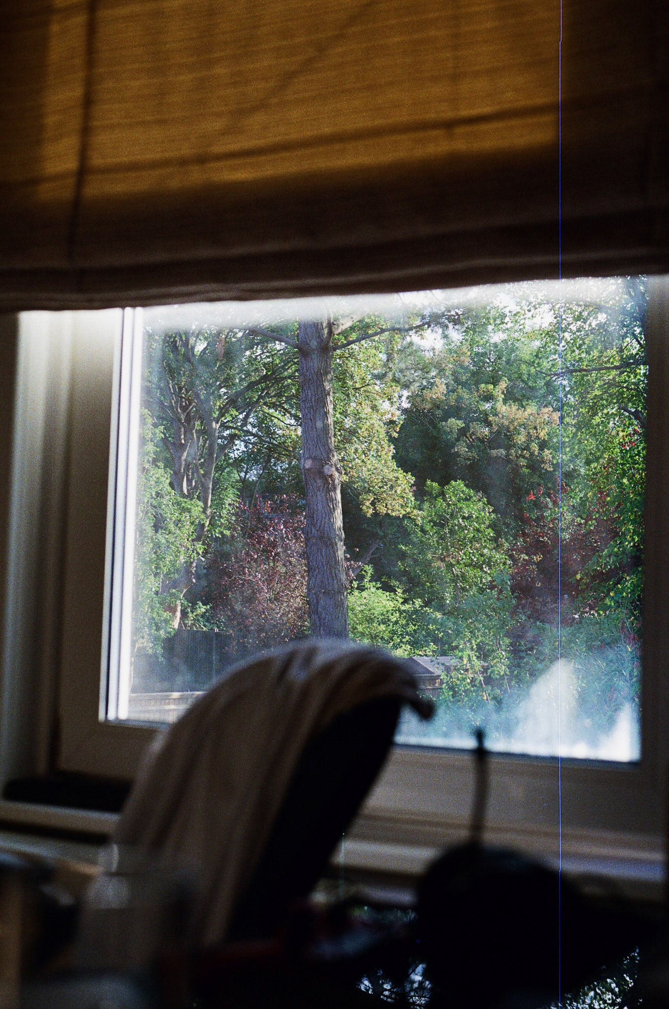 Processed with VSCO with  preset