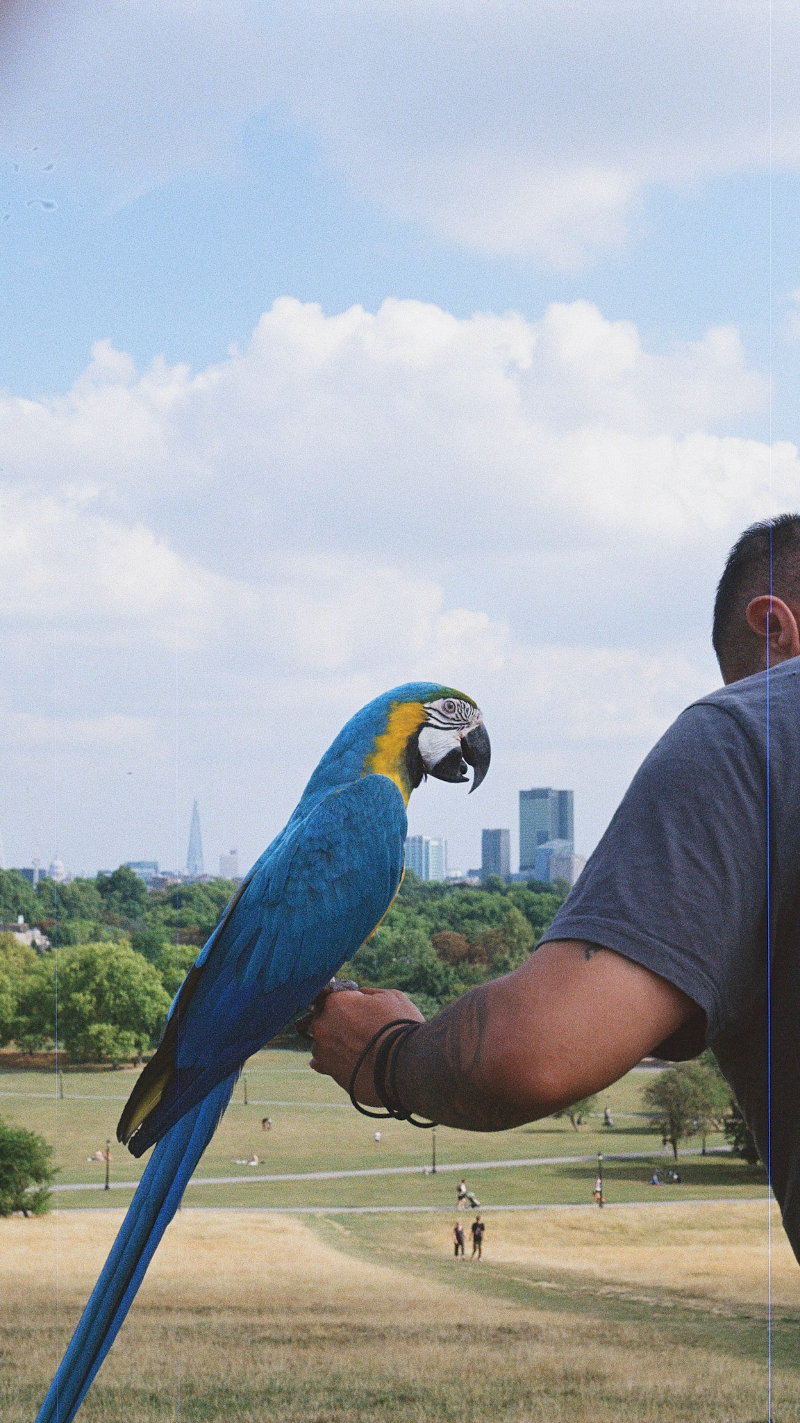 Processed with VSCO with  preset