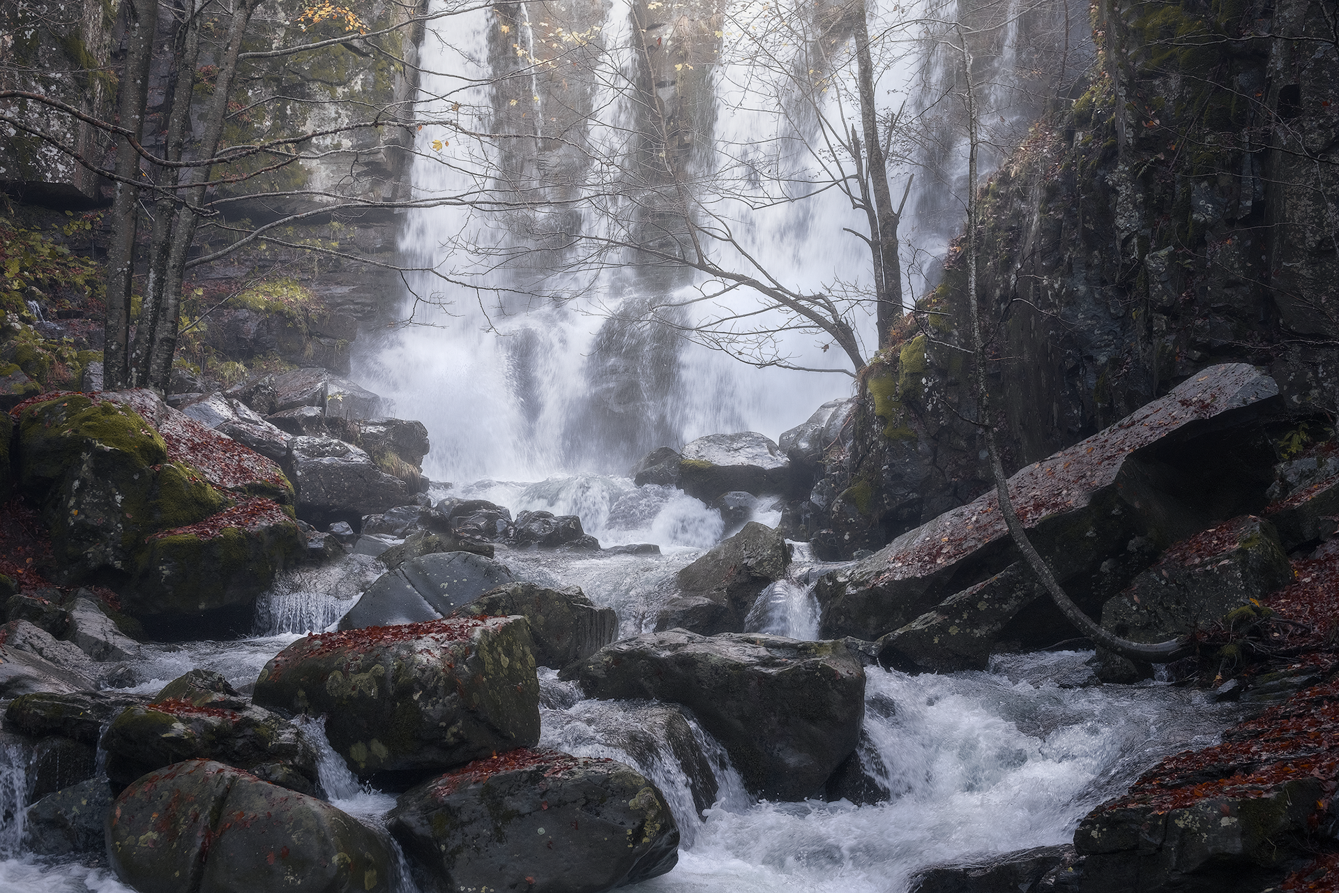 Un torrente impetuoso scorre tra le rocce in un bosco avvolto dalla luce soffusa del mattino. I tronchi caduti e le foglie rosse sul terreno creano un'atmosfera autunnale, mentre la nebbia sullo sfondo aggiunge profondità e mistero alla scena.