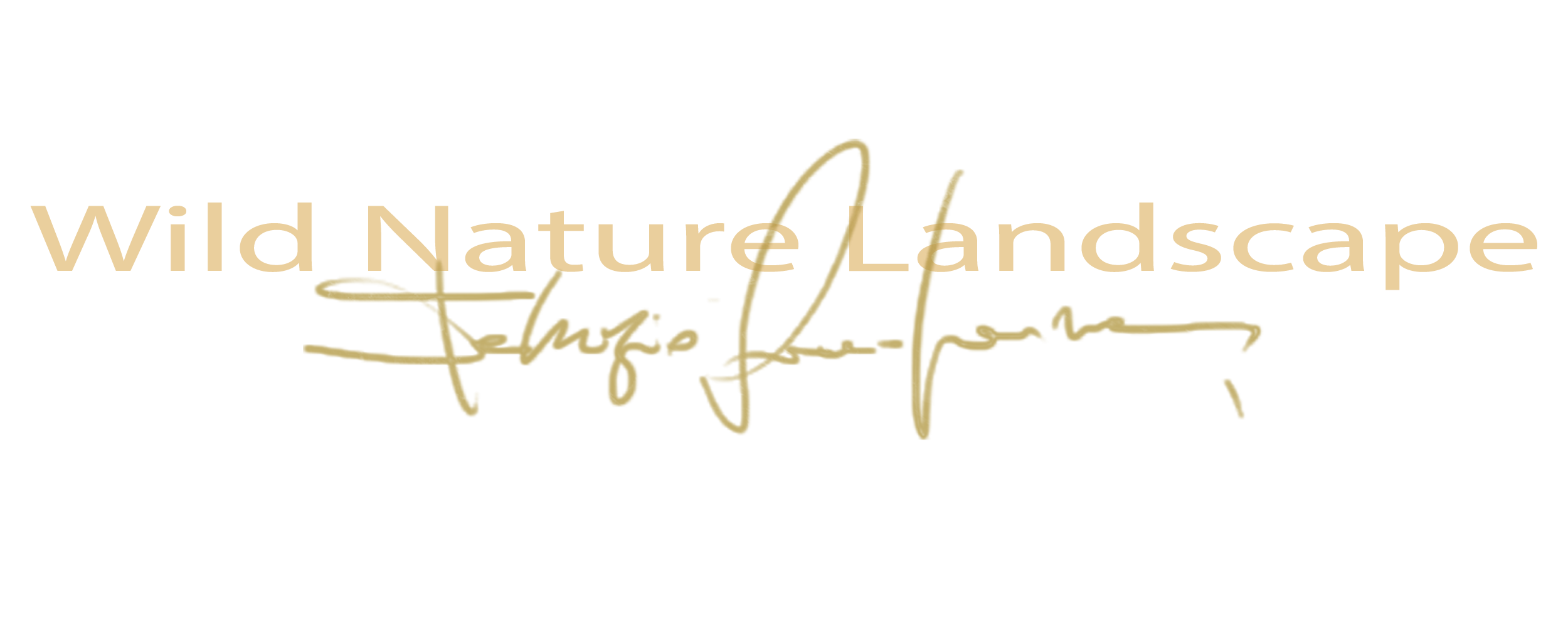 Fabrizio Vinciguerra Photography