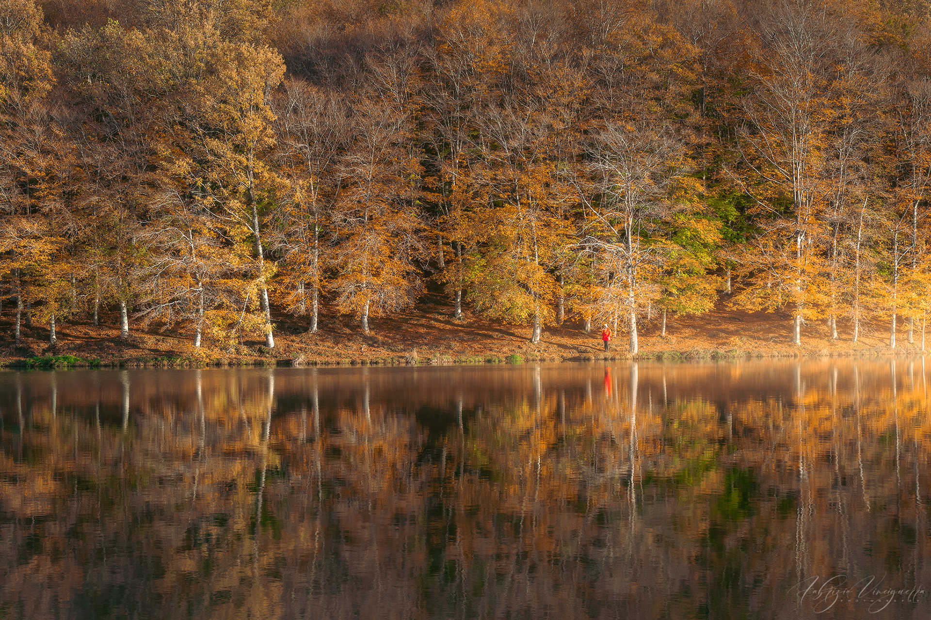 Specchio d’acqua con alberi autunnali Un lago immerso nella tranquillità di un bosco etneo riflette con perfezione i colori caldi delle foglie d’autunno. Un piccolo dettaglio rosso tra gli alberi aggiunge un punto d’interesse visivo alla scena.