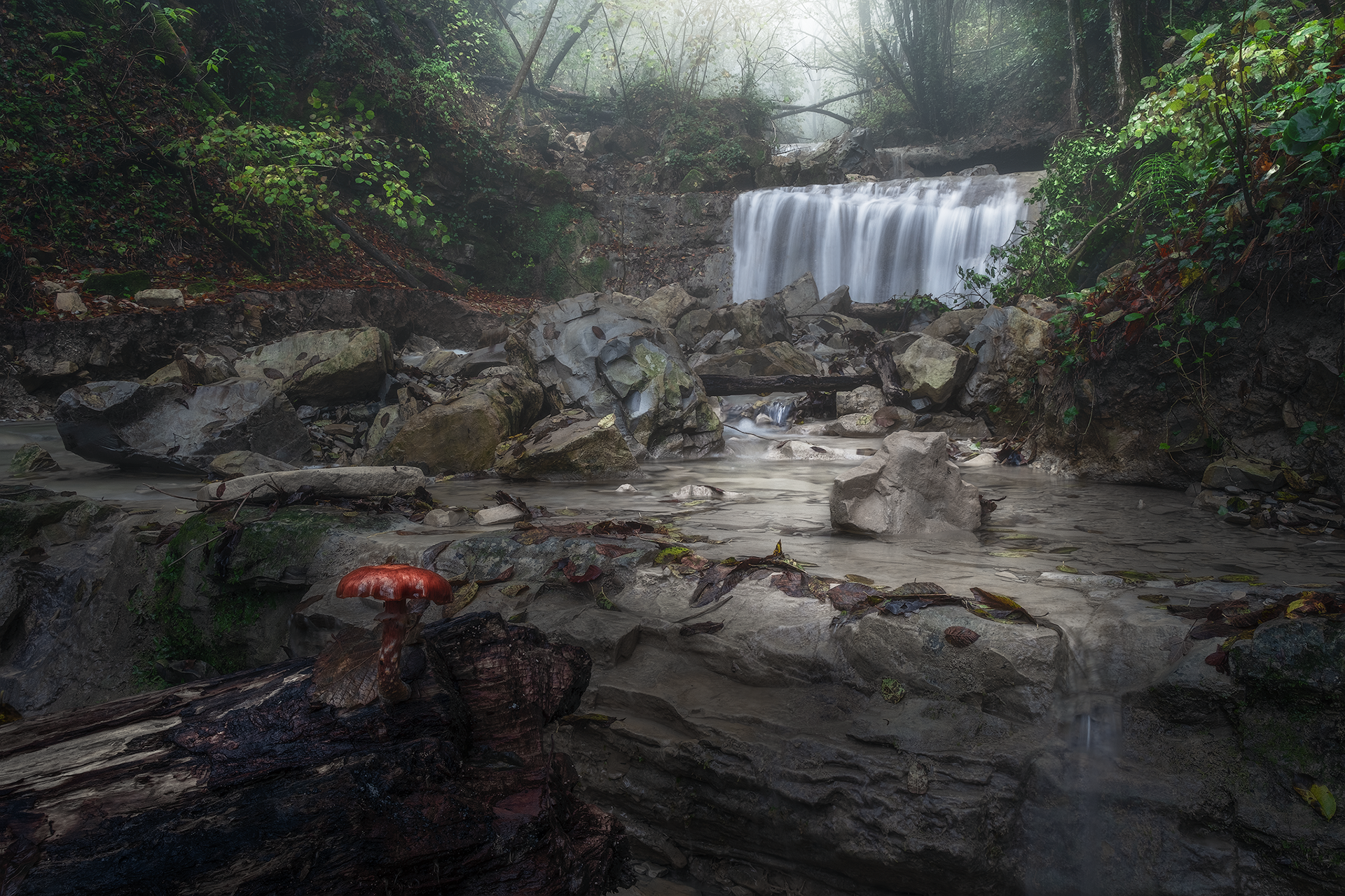 Un'inquadratura simile alla precedente, ma con una prospettiva più ravvicinata. In primo piano, un tronco con un piccolo fungo rosso aggiunge un tocco di colore al paesaggio umido e muschioso. Sullo sfondo, la cascata continua a scorrere, avvolta dalla foschia e dalla vegetazione.