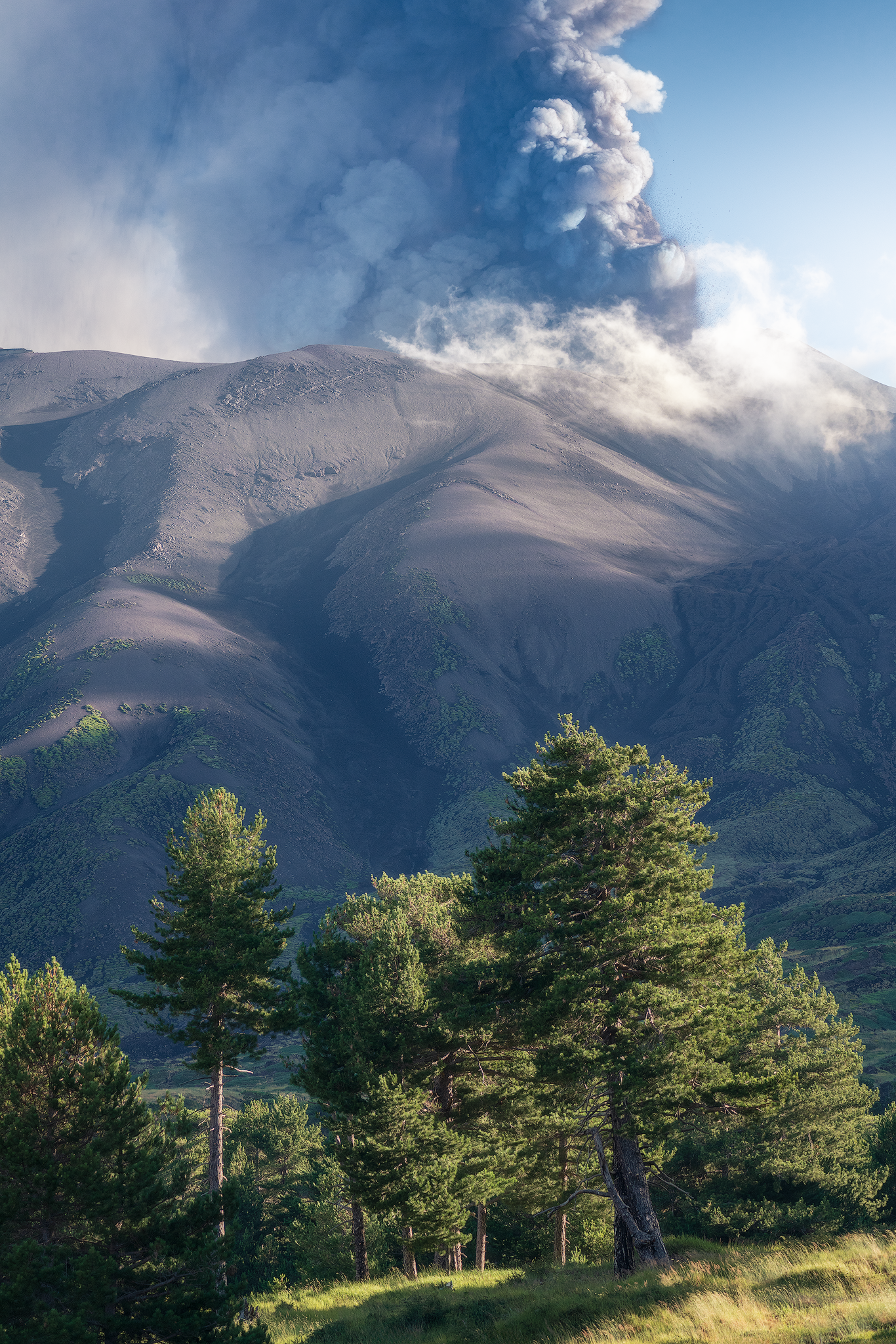 Fumo e vegetazione sull’Etna L’Etna continua la sua attività con un pennacchio di fumo che si alza nel cielo, mentre la vegetazione in primo piano mostra la resilienza della natura in un ambiente ostile.
