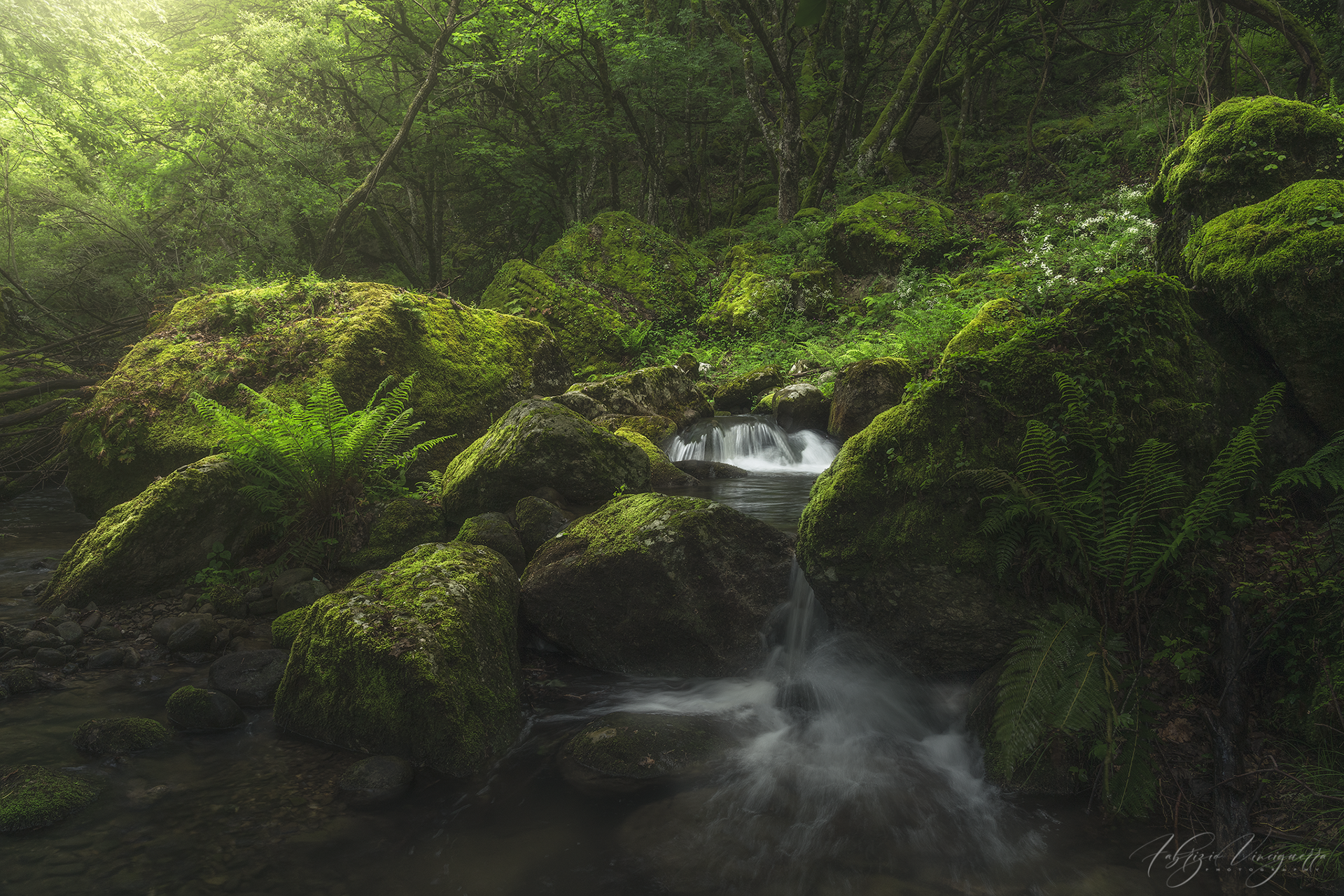 Cascata immersa nel verde – "Una cascata nascosta nel cuore della foresta, incorniciata da una vegetazione fitta e rigogliosa."