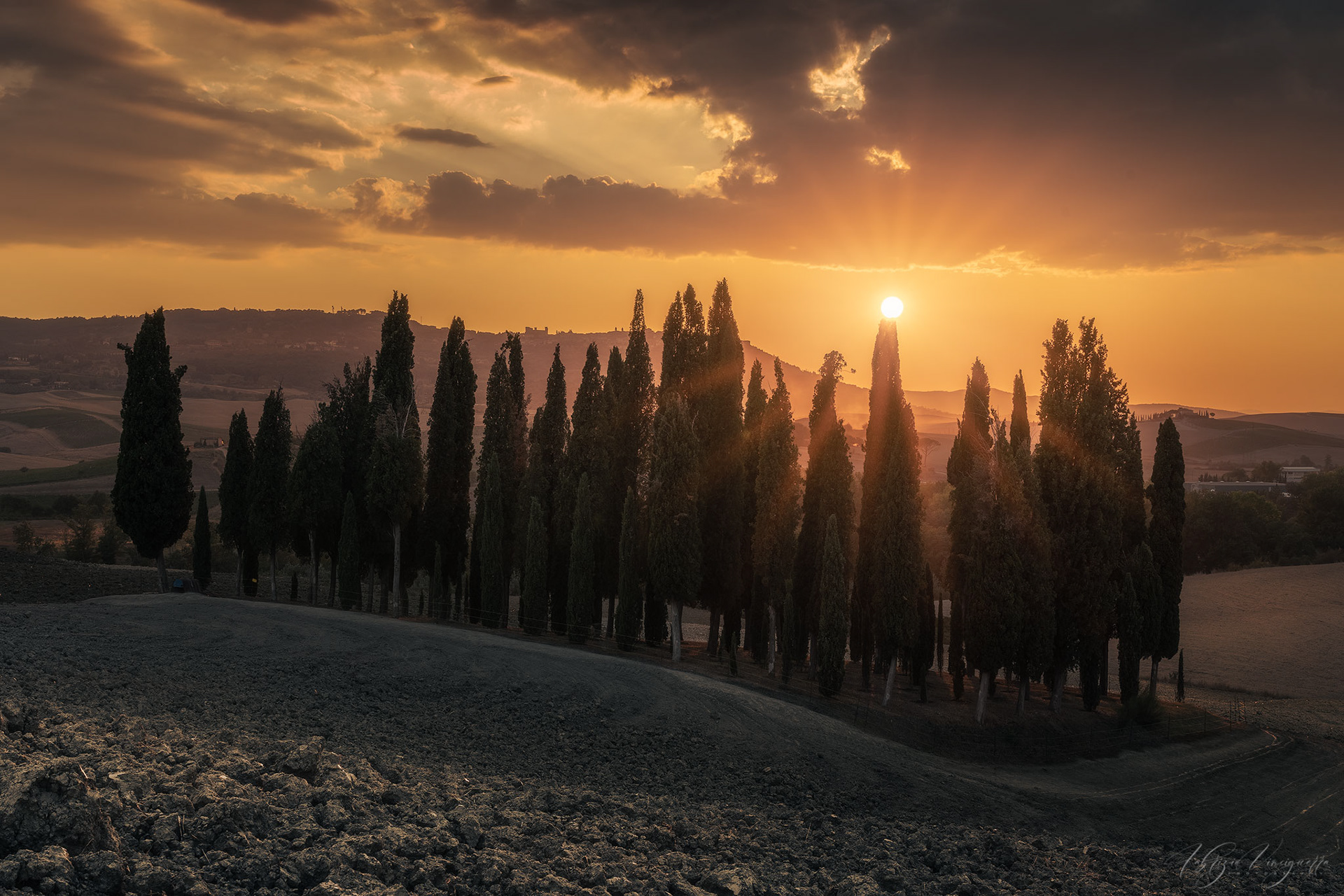 Un gruppo di cipressi iconici della Val d’Orcia si staglia contro un cielo infuocato dal tramonto. Il contrasto tra la terra ondulata e il cielo dai colori caldi crea una composizione suggestiva.