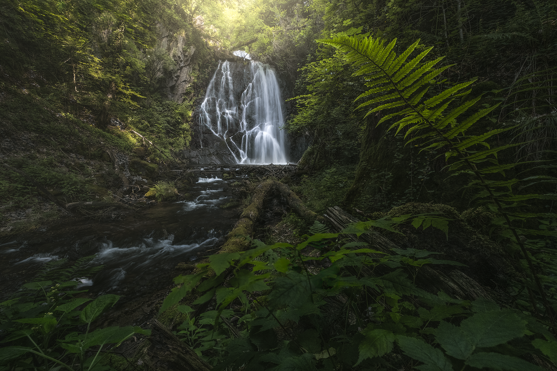 Into the Heart of Green