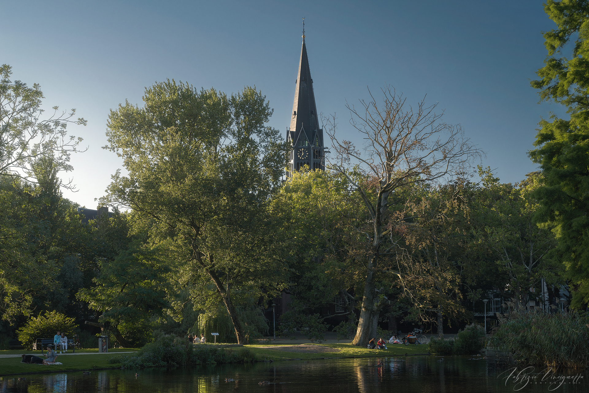 Scorcio verde con chiesa tra gli alberi – Un’oasi naturale in città, dove il gioco di luci e ombre esalta la bellezza del paesaggio.