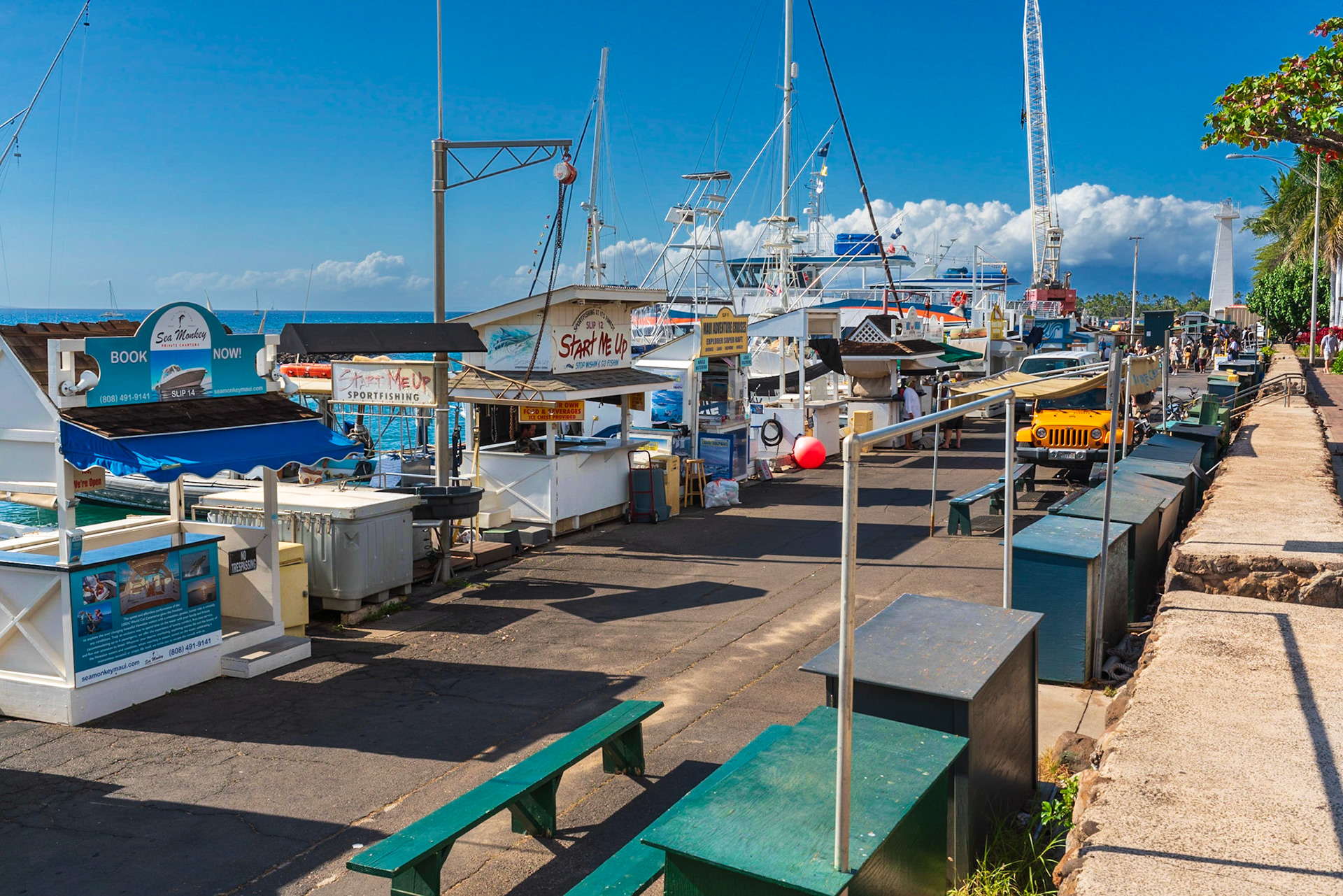 Lahaina Marina 