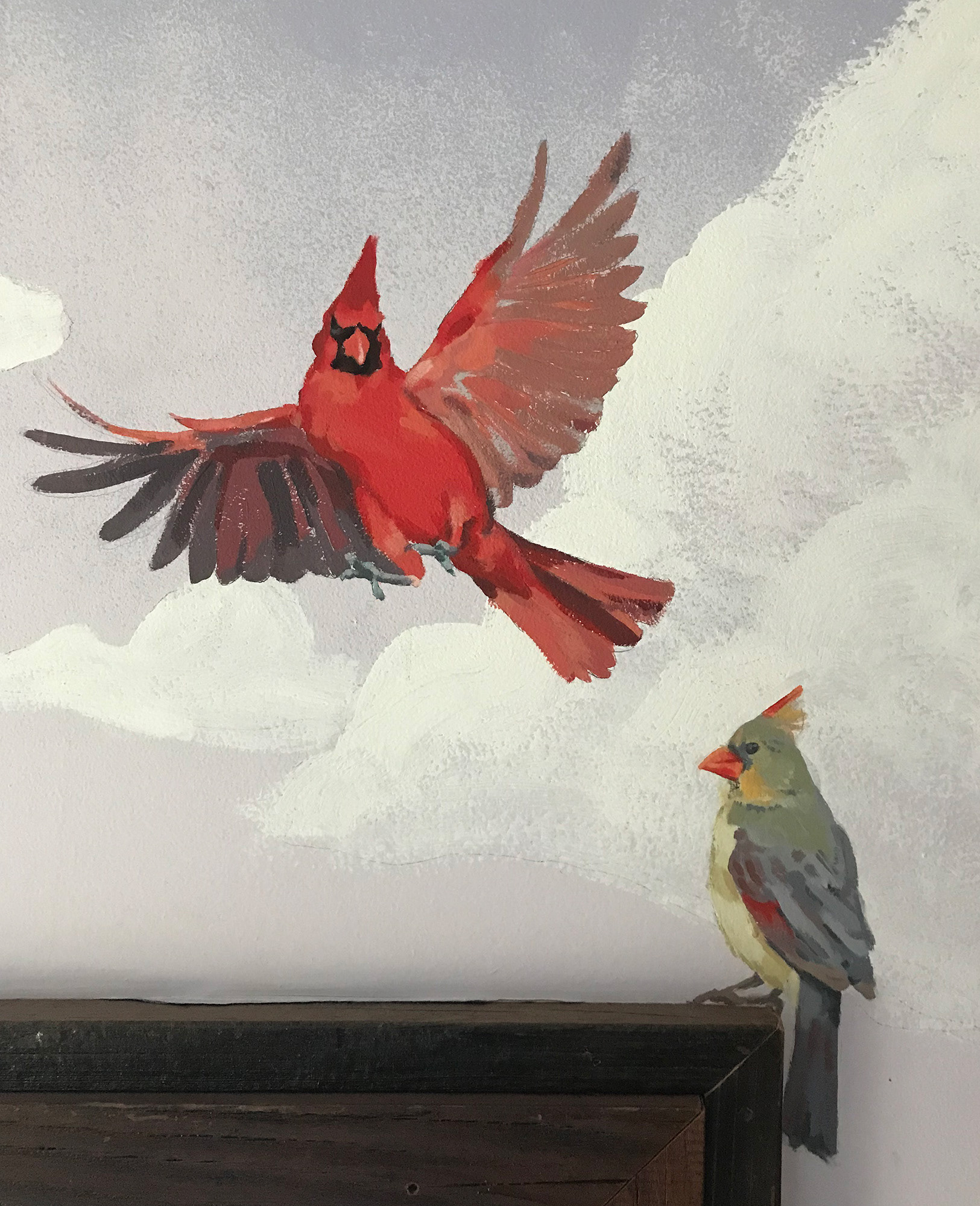 Cardinal male and female
