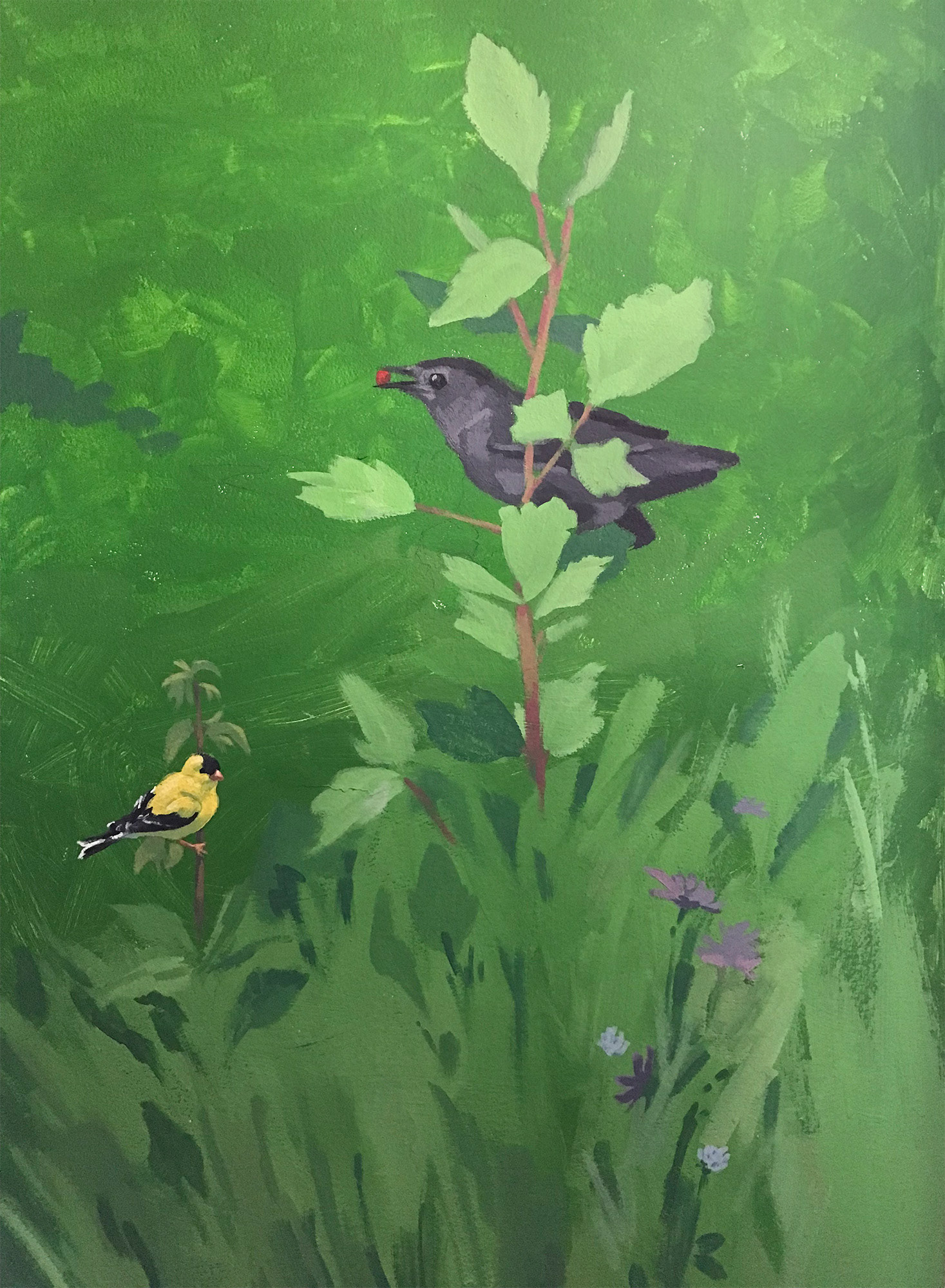 Goldfinch and Cat Bird, southwest corner