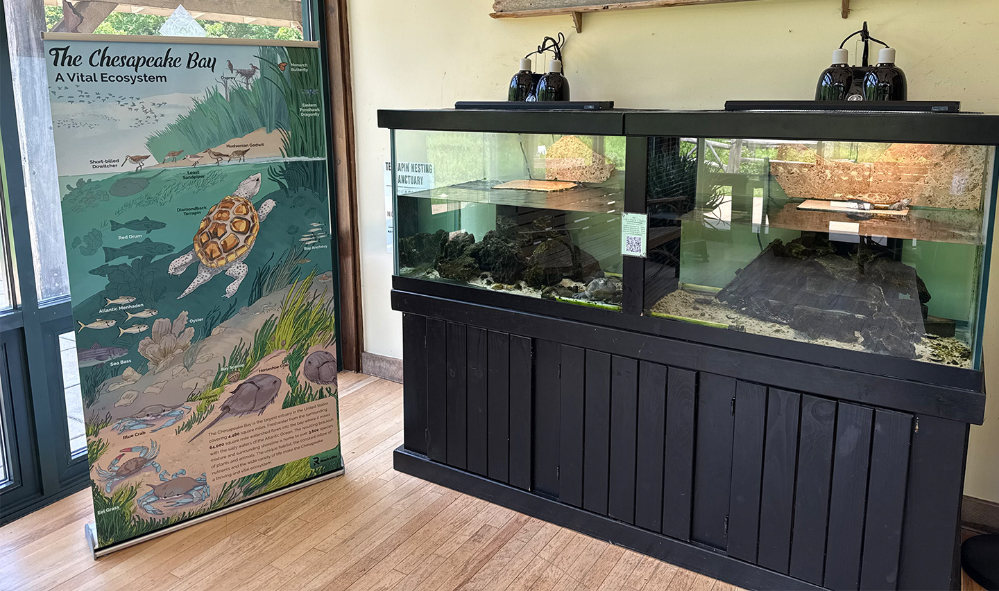 Display banner with terrapin exhibit.