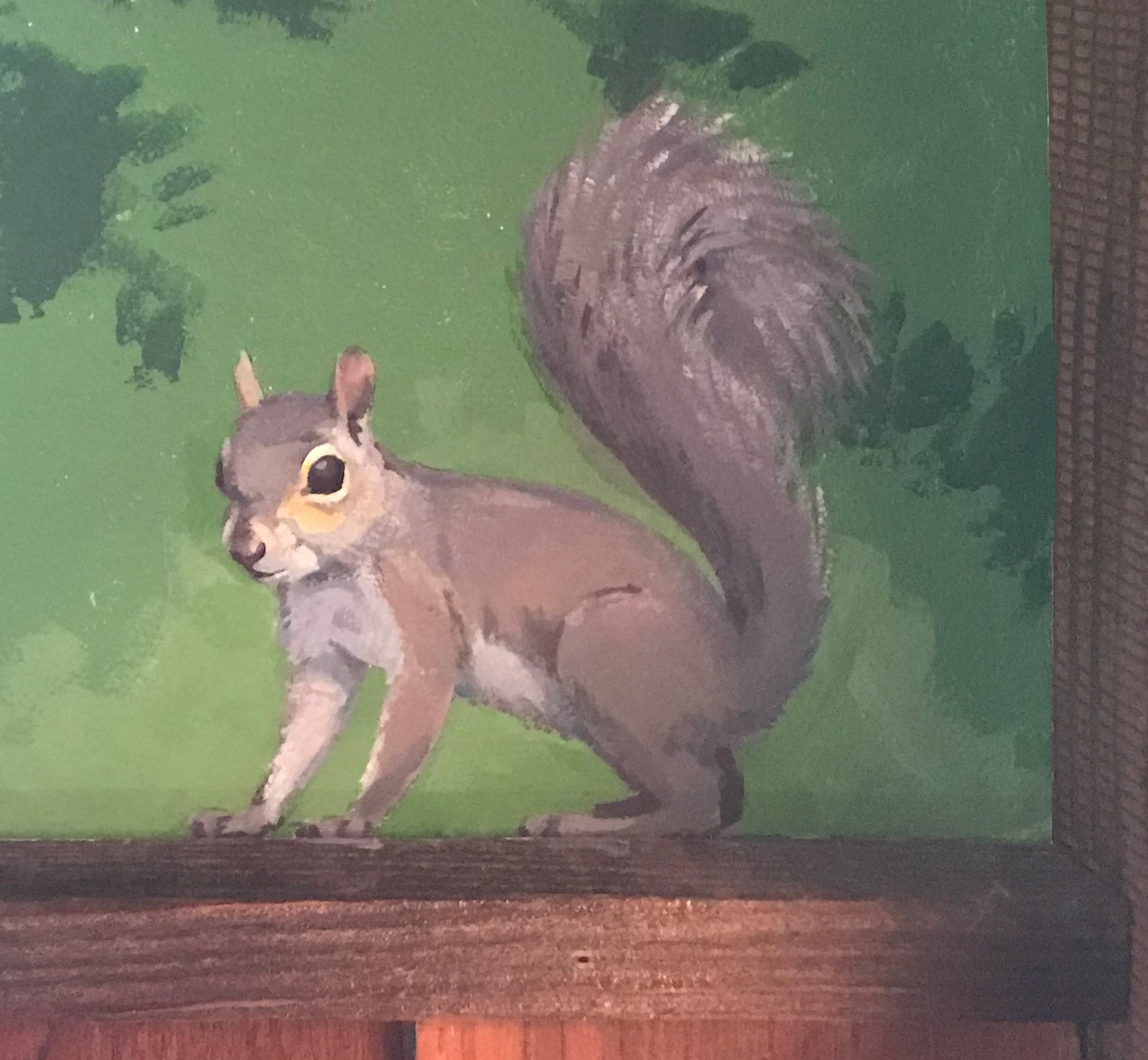 Crouching Eastern Gray Squirrel