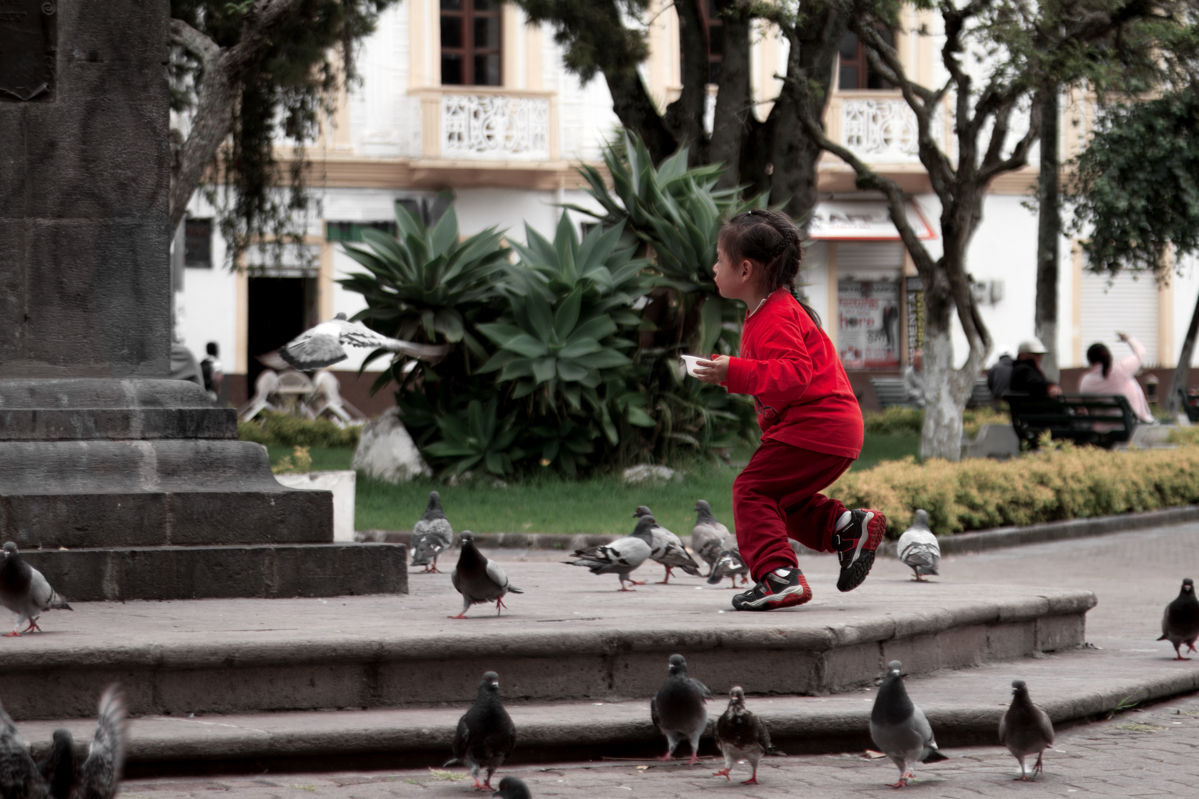 "Chasing the Pigeon"