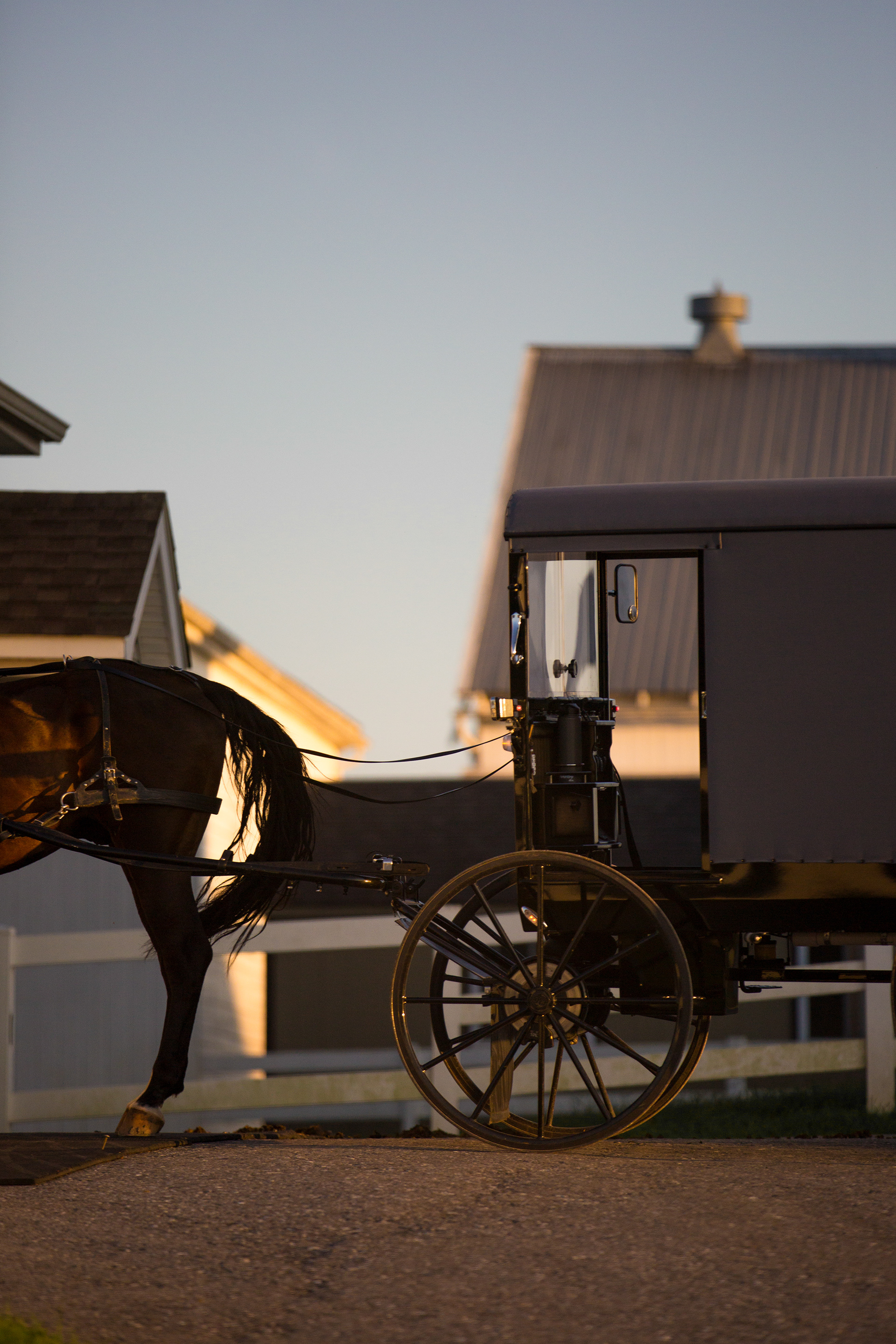 "Byggy" - Lancaster, PA