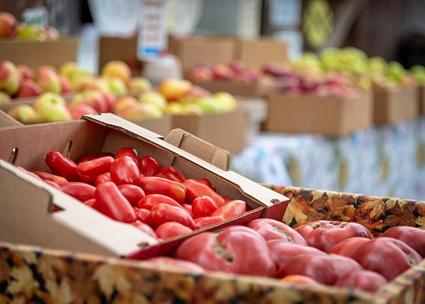 Hales Apple Farm, Sebastopol, California