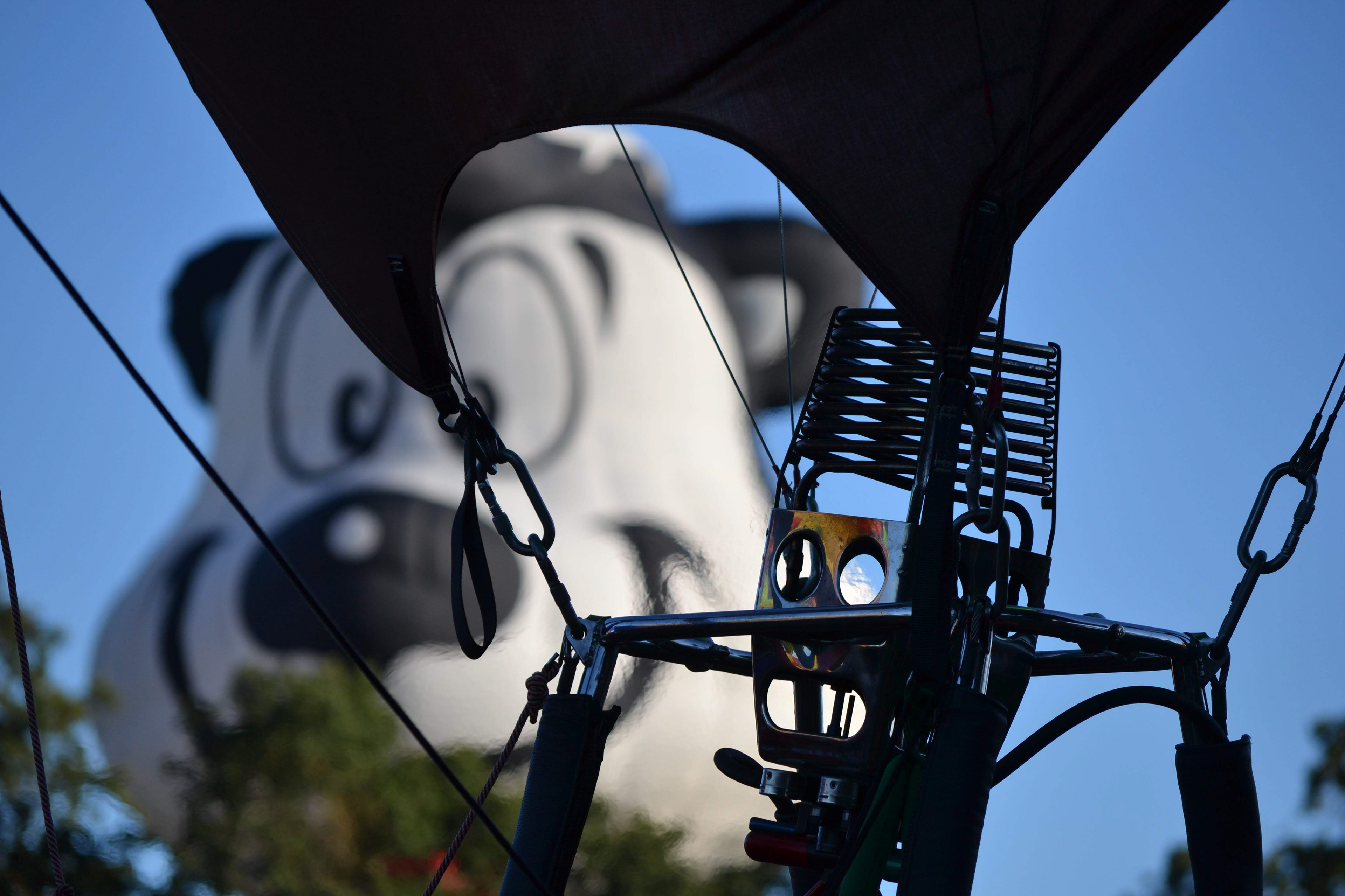 Windsor Hot Air Balloon Classic, Windsor, California