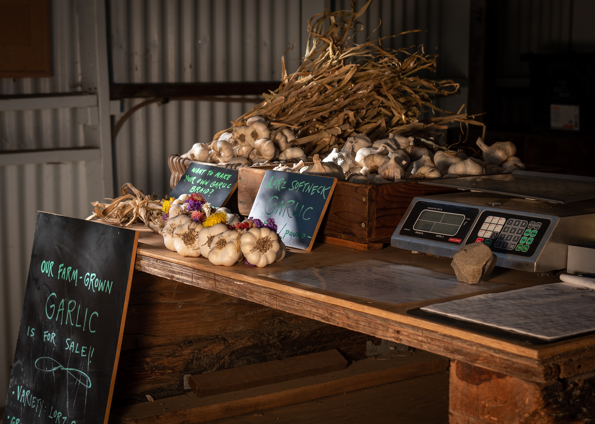Green Valley Community Farm, Sebastopol, California