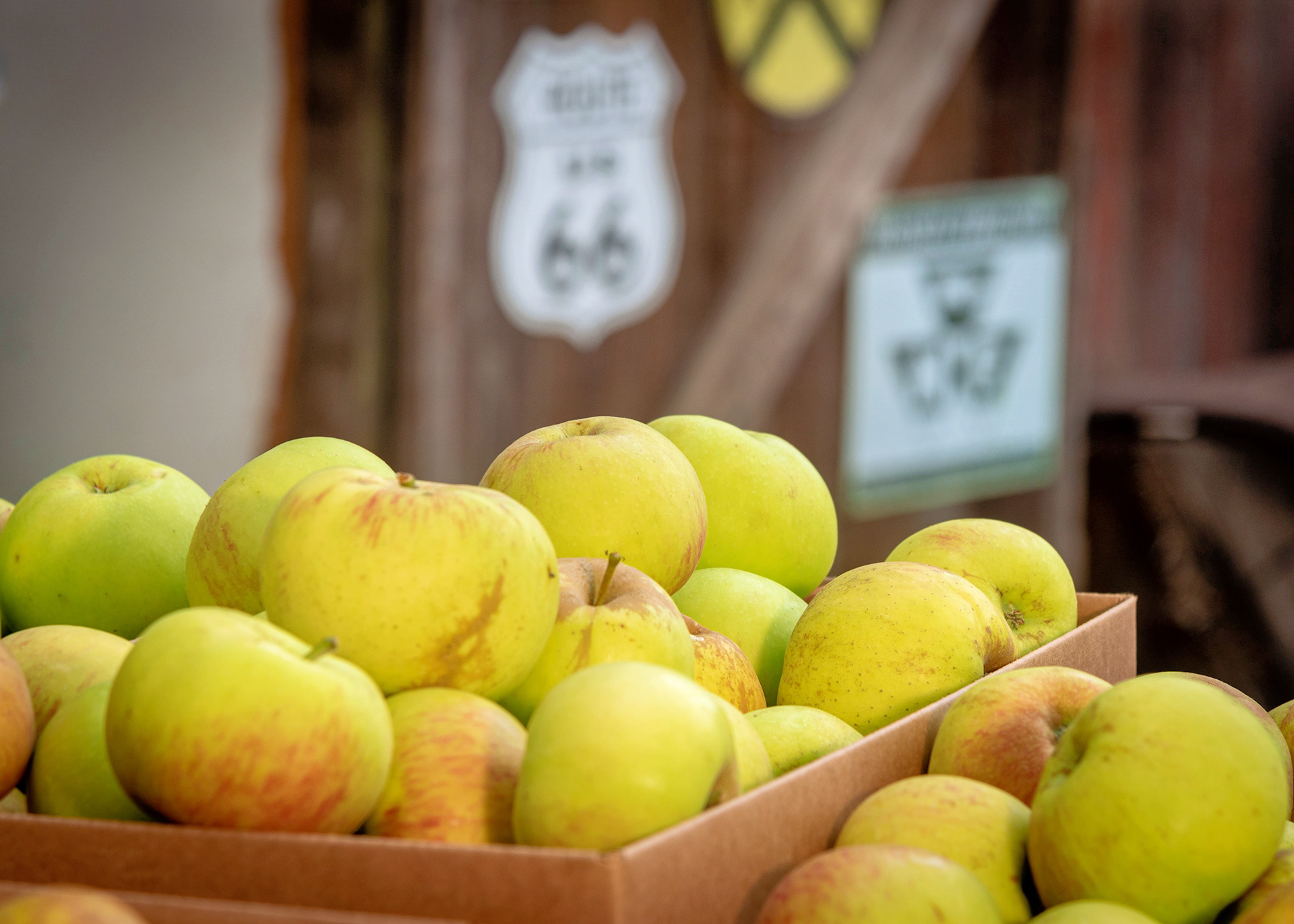 Hales Apple Farm, Sebastopol, California