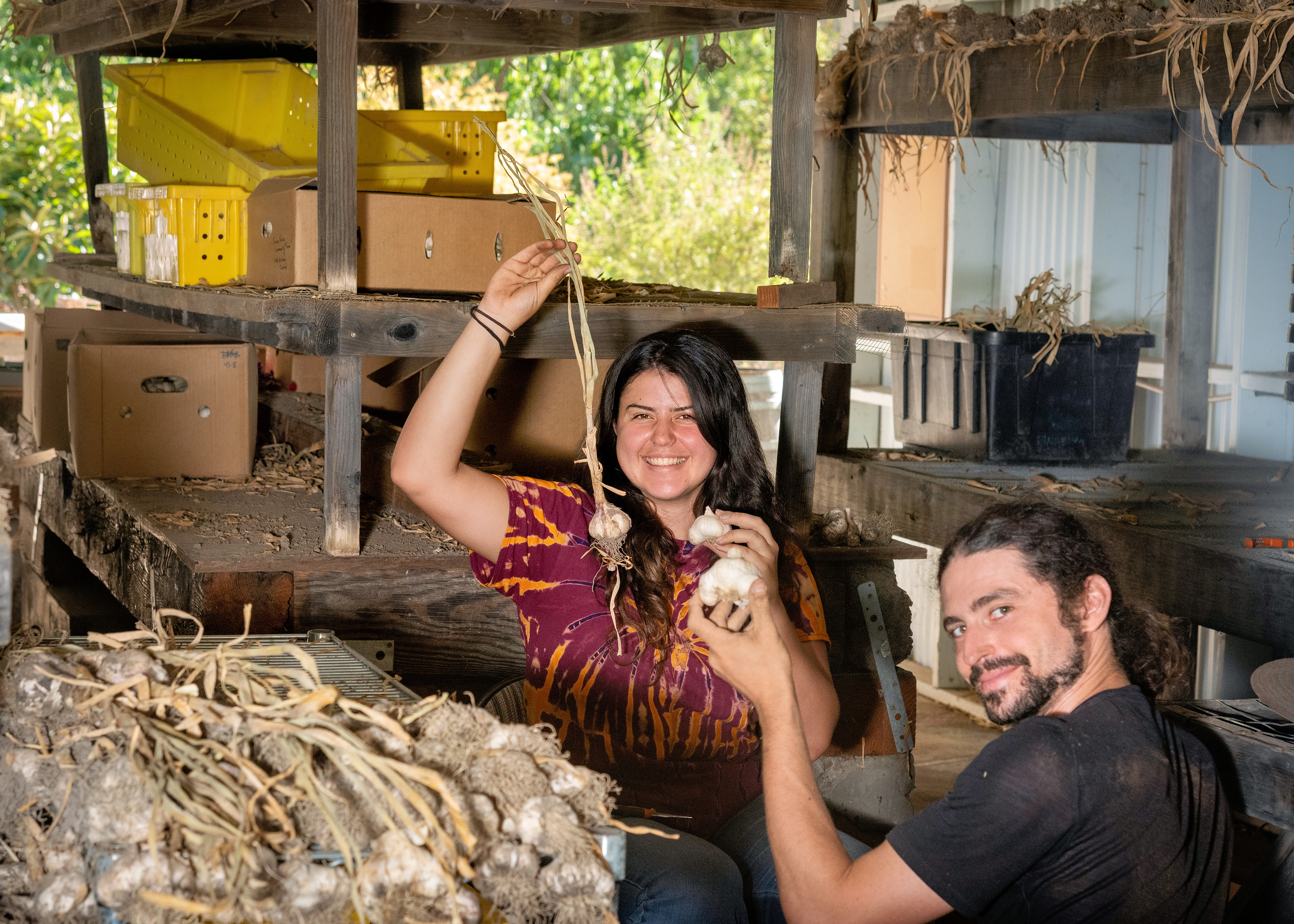 Green Valley Community Farm, Sebastopol, California