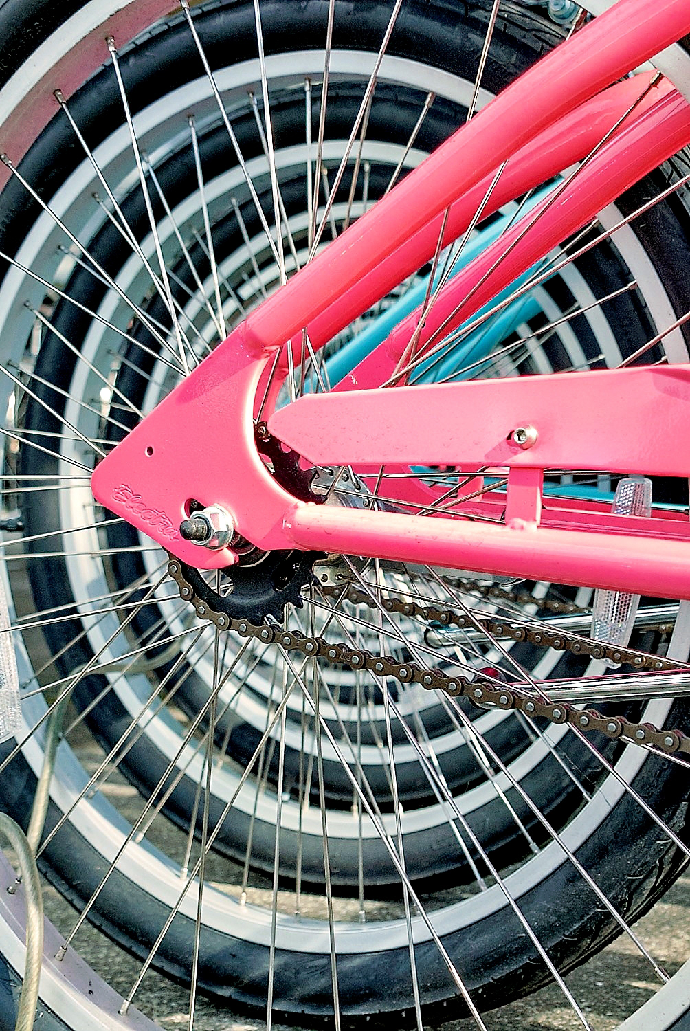 The Bike Peddler, Santa Rosa, California