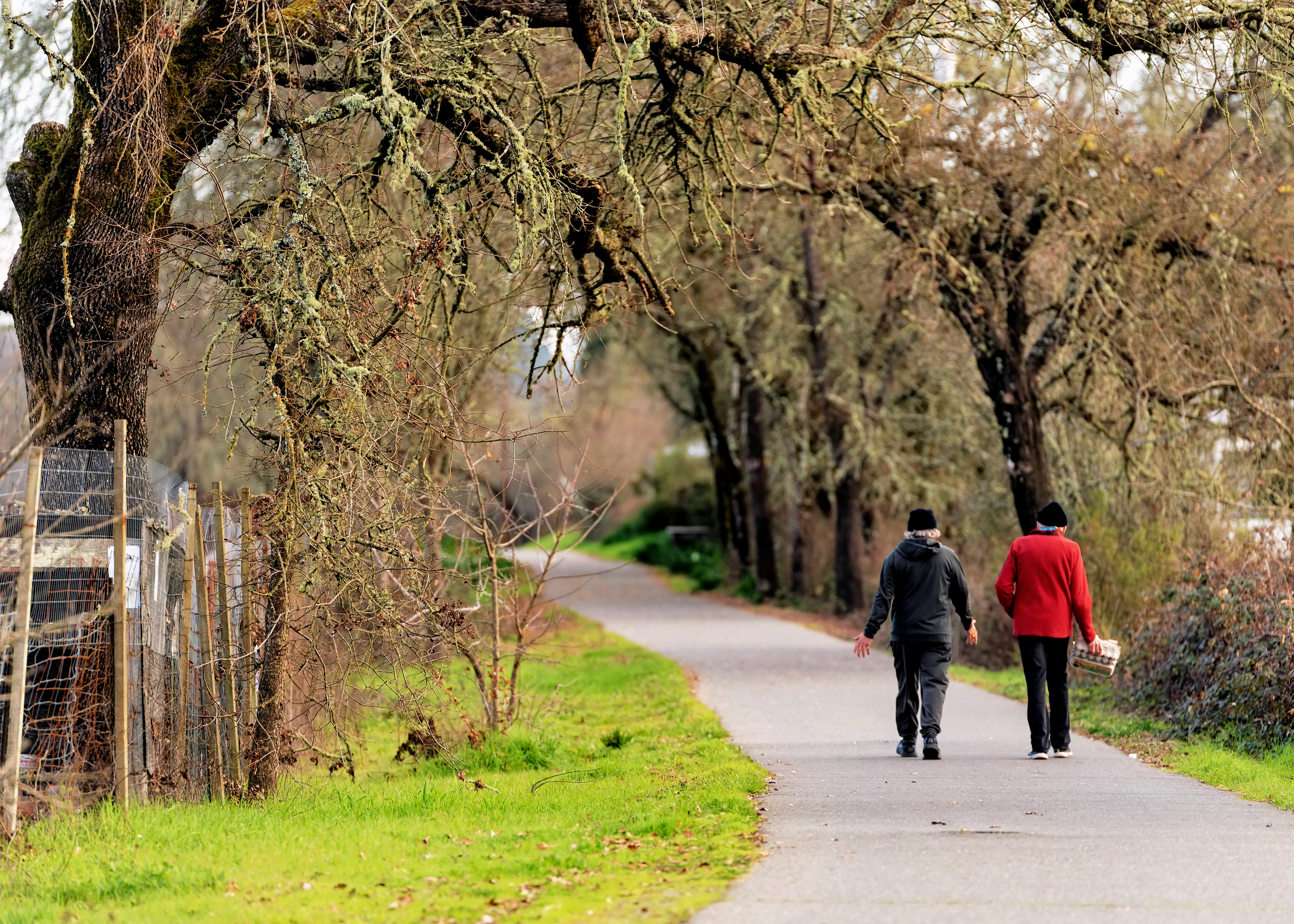 Sonoma County Regional Trail, Forestville, California