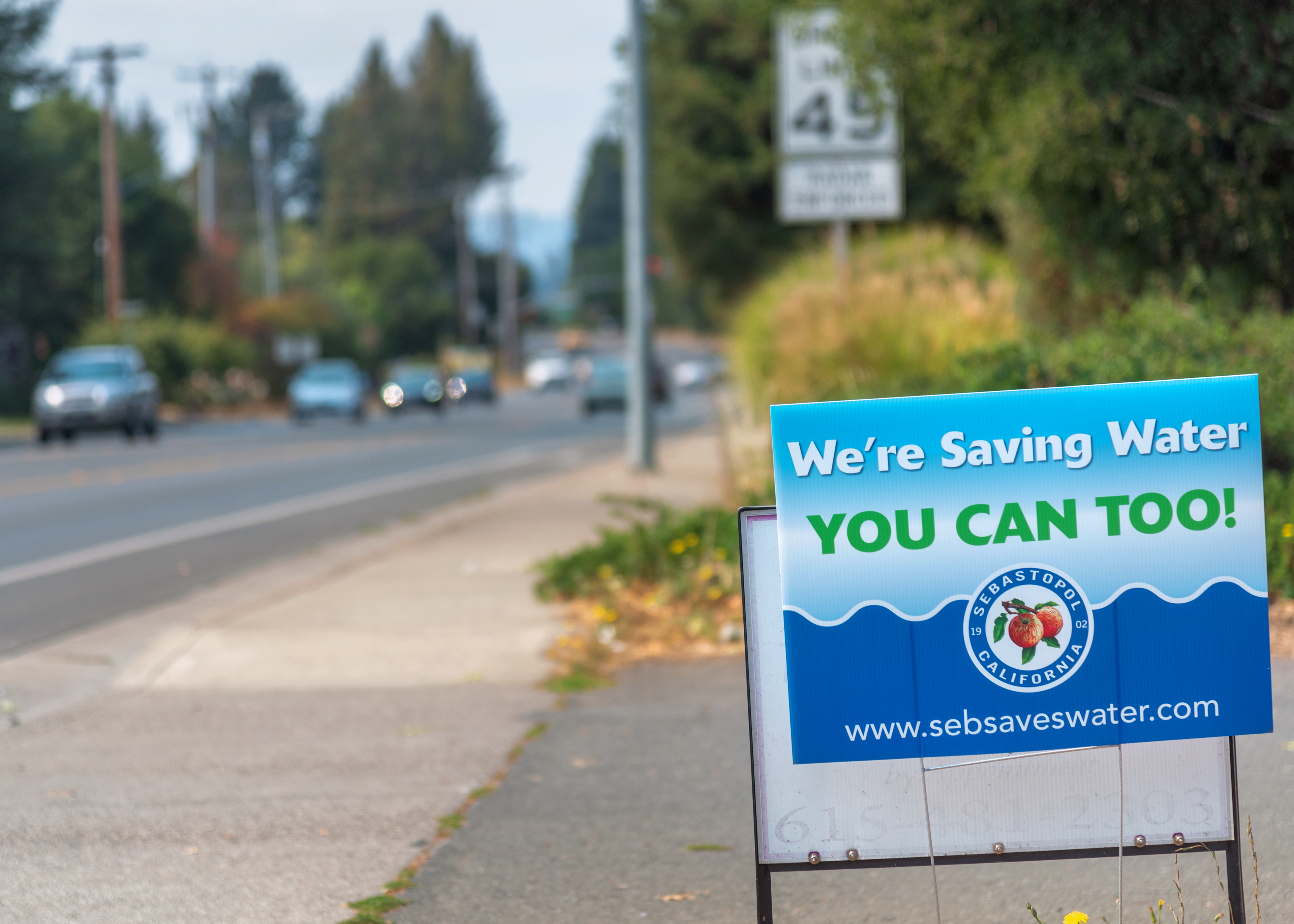 Drought, Sebastopol, California