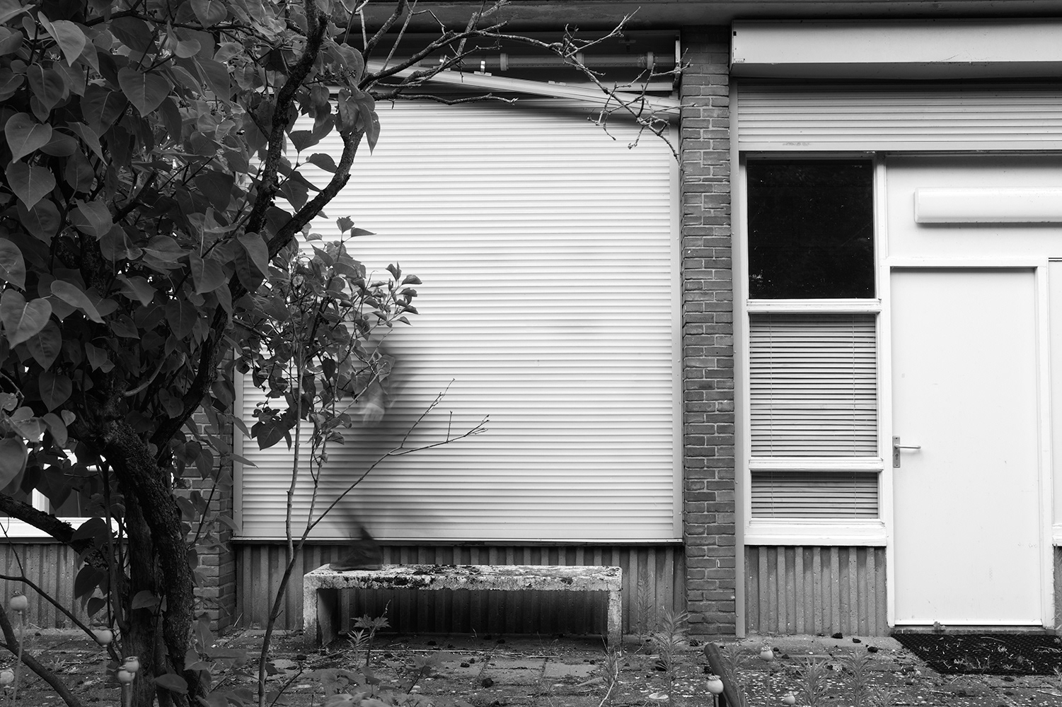 Achter het witte scherm: het lokaal van klas twee.