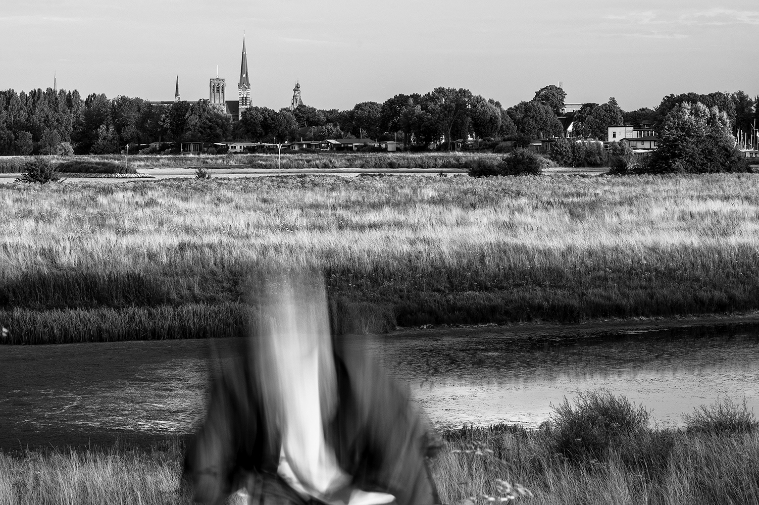 Een Francis Bacon bij de Lek