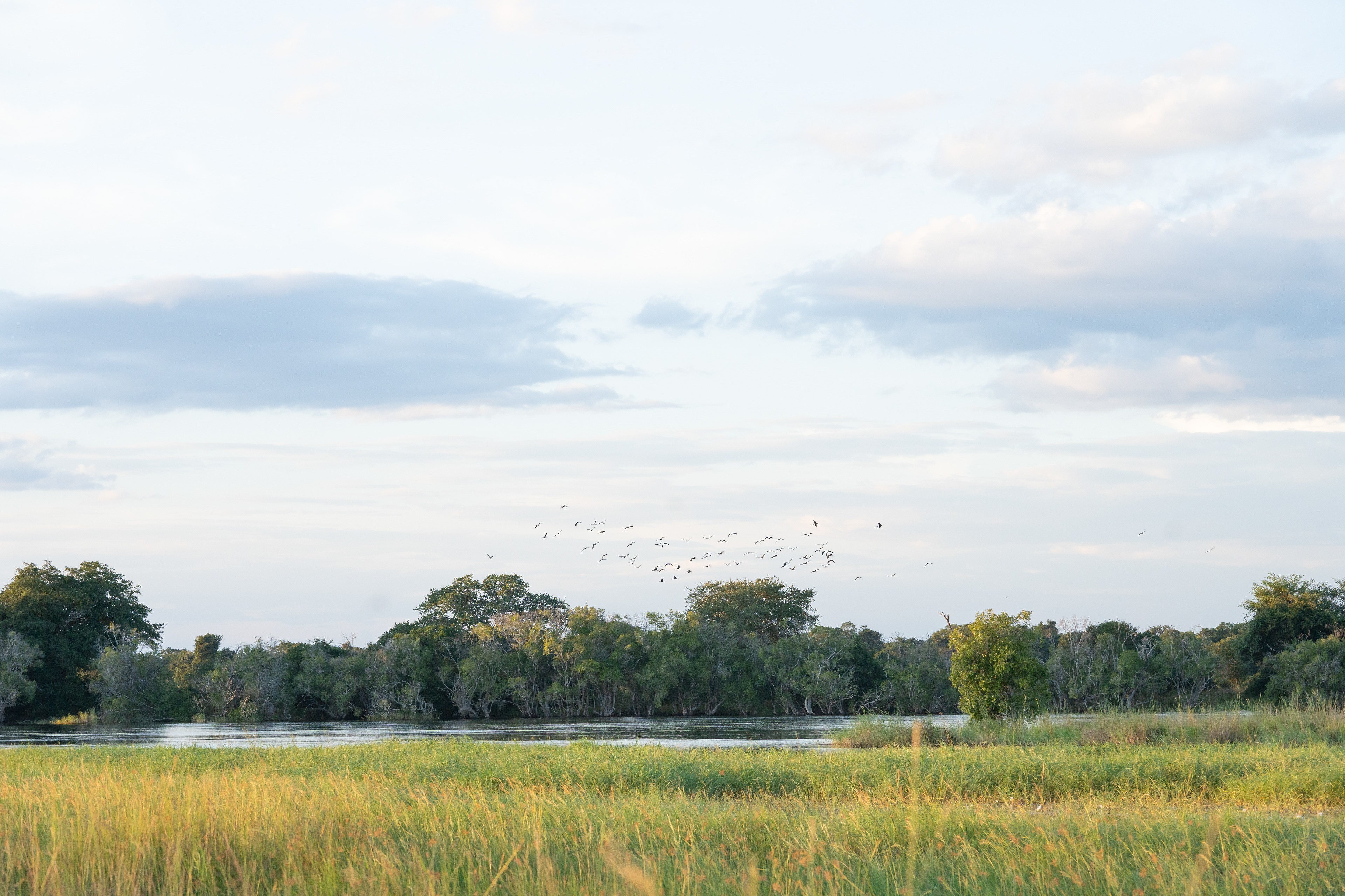 The Tranquil Kafue