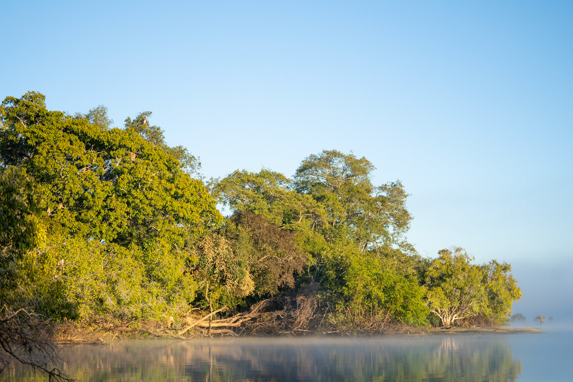 Mornings in Mayukuyuku