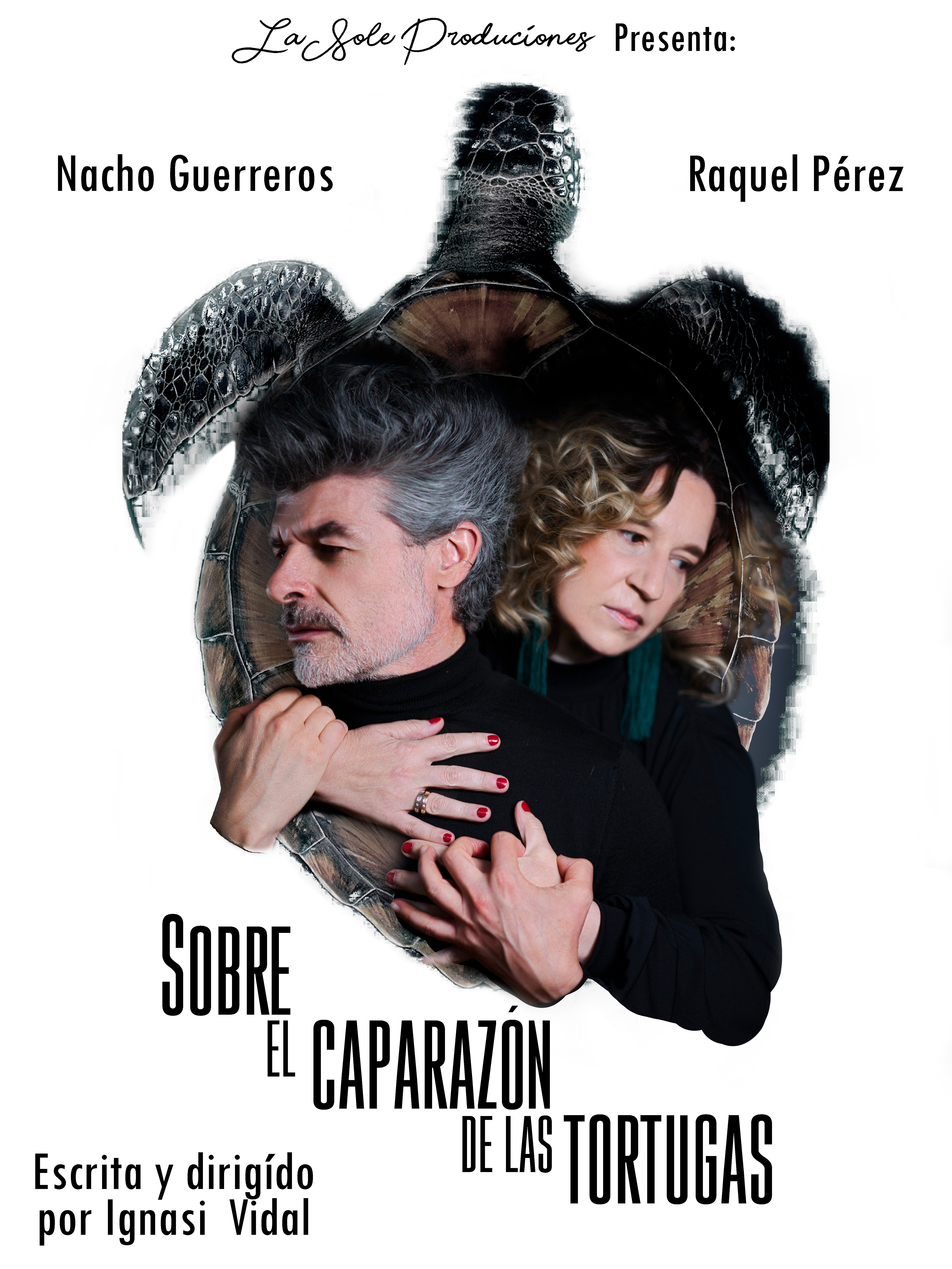 Sobre l caparazón de las tortugas (Versión alternativa)