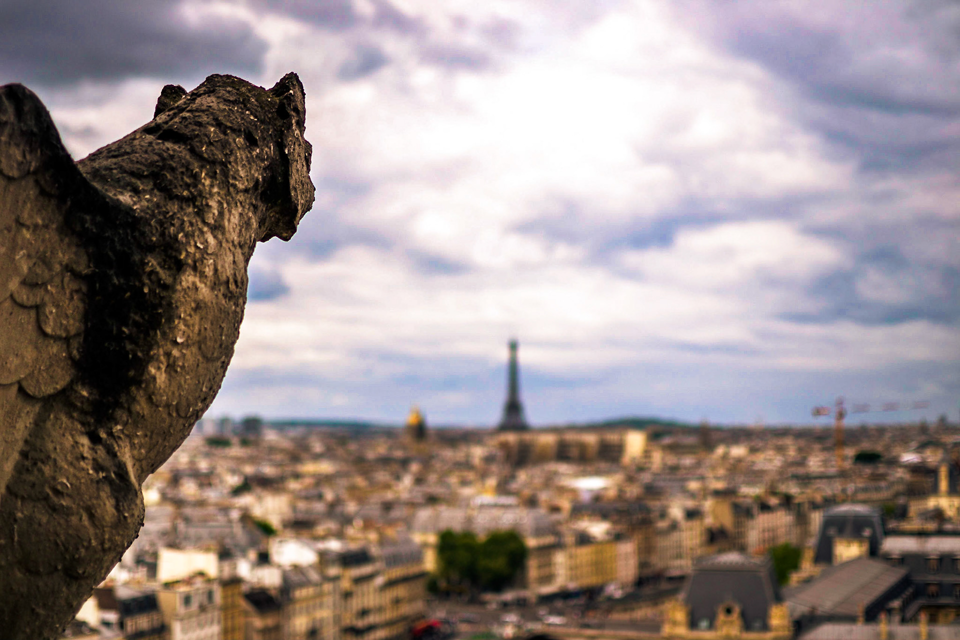 Notre-Dame, Paris, France