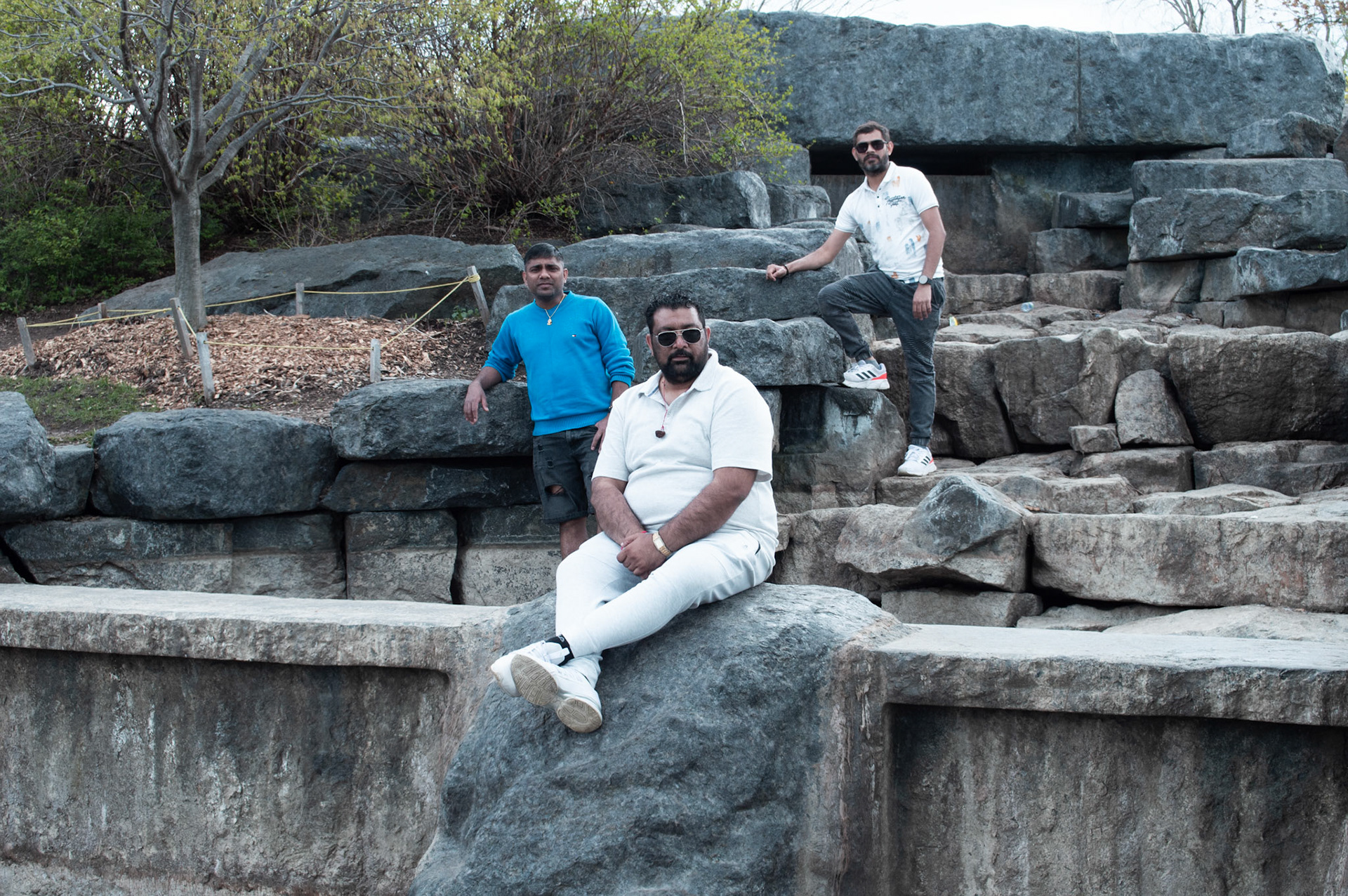 Brothers From Another Mother