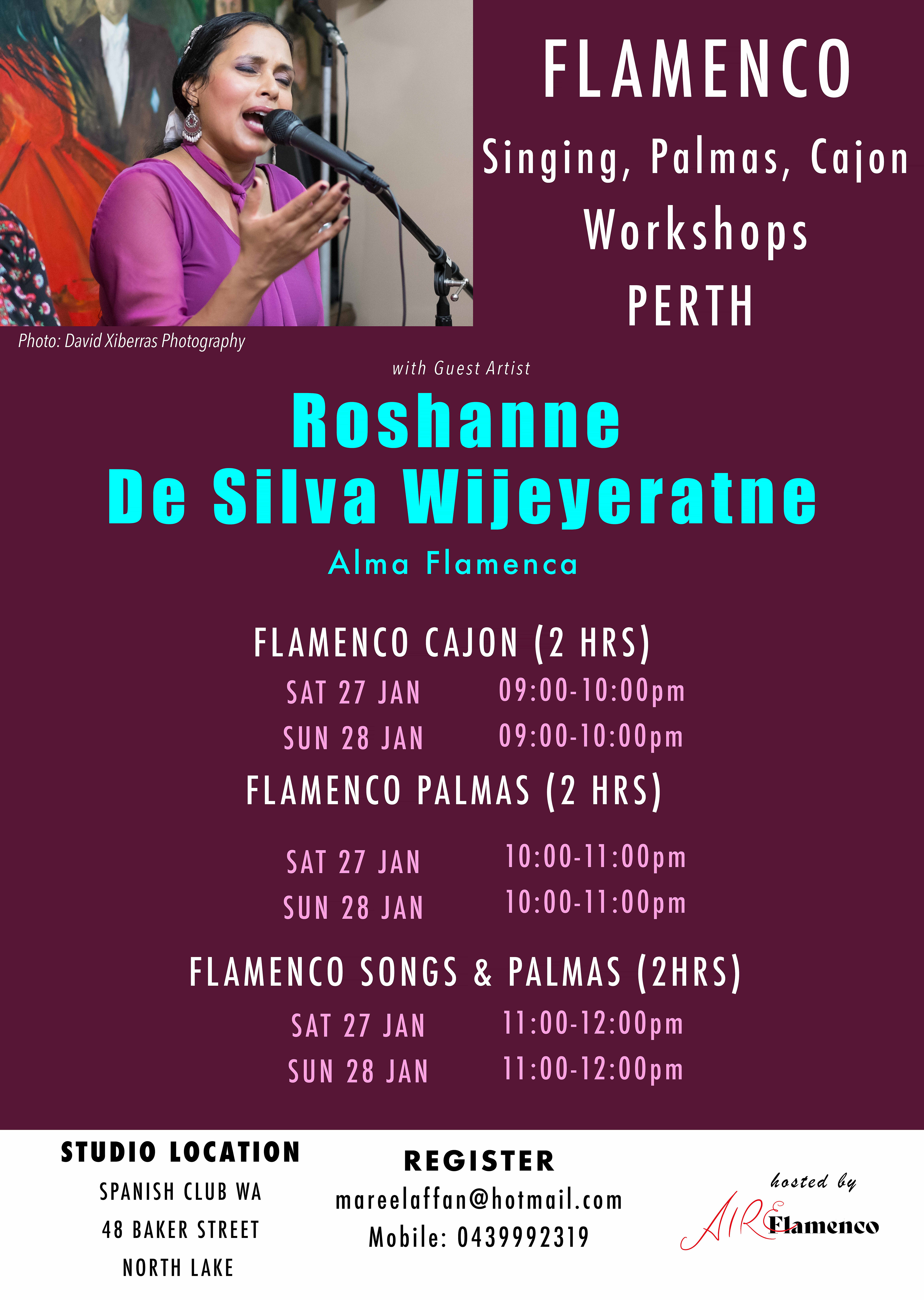 Flamenco Music Workshops