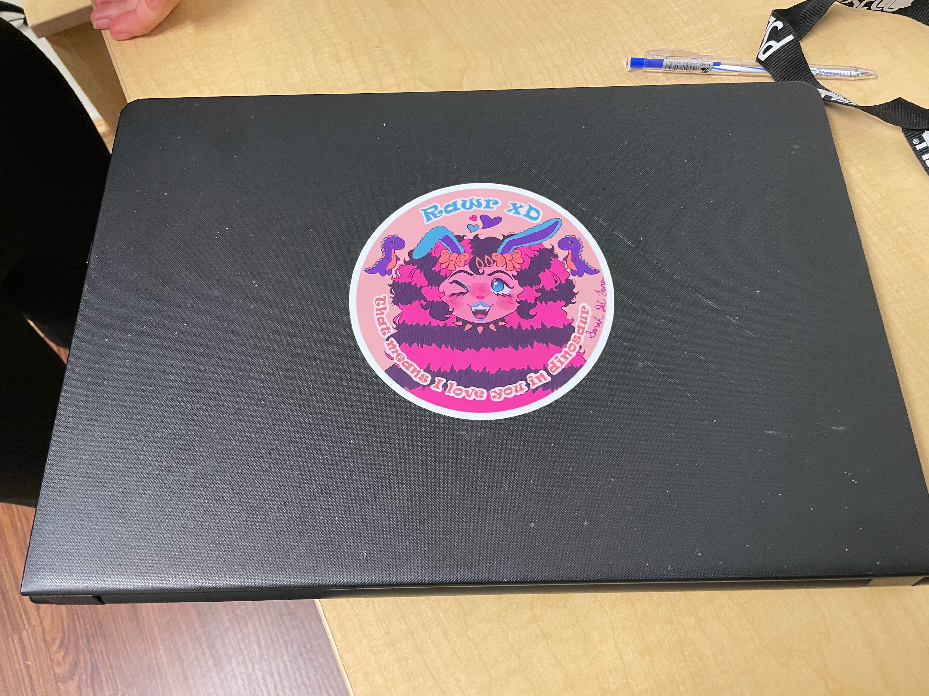 My suitemate's laptop
