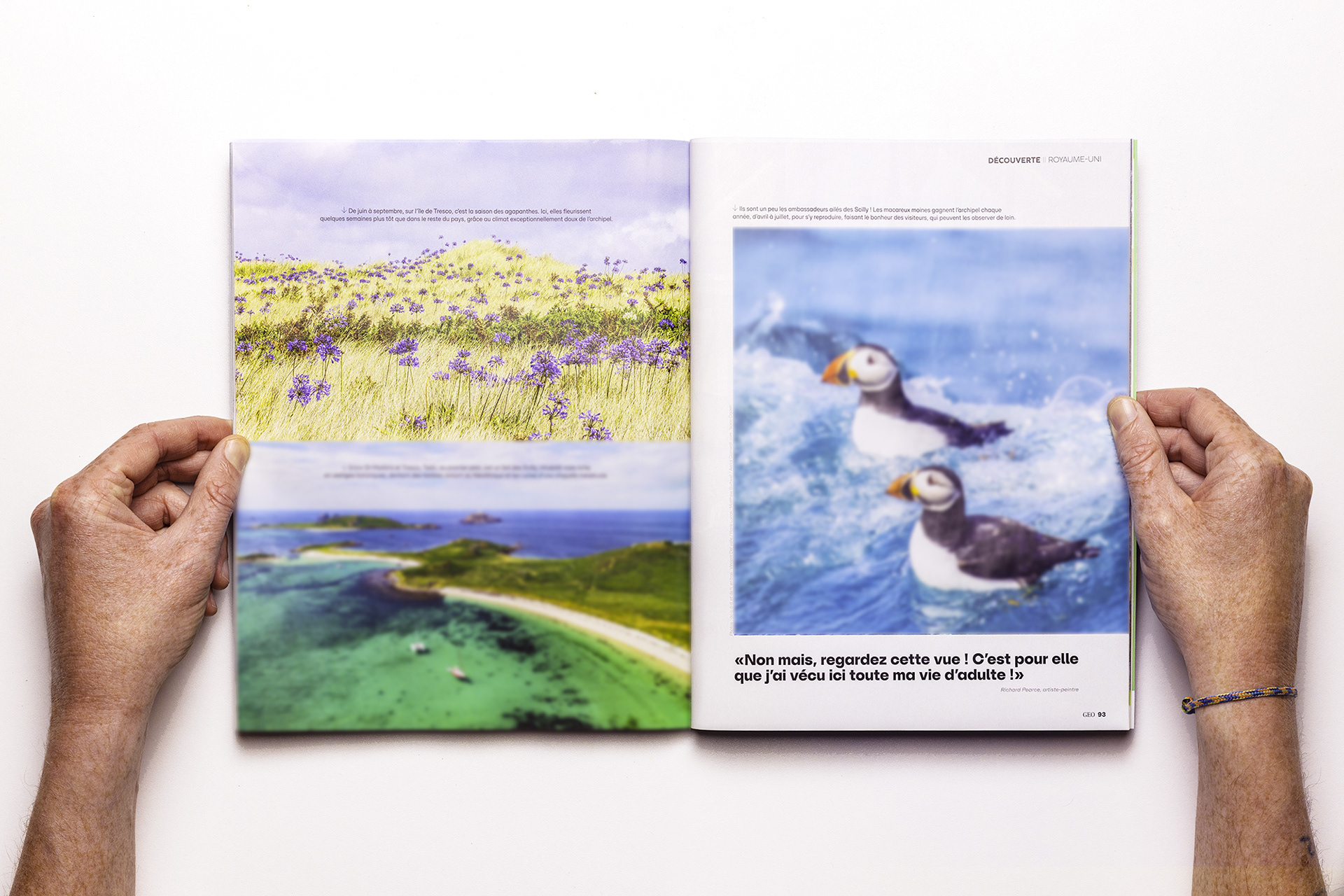 GEO n°565 - Demi page, les agapanthes des Scilly