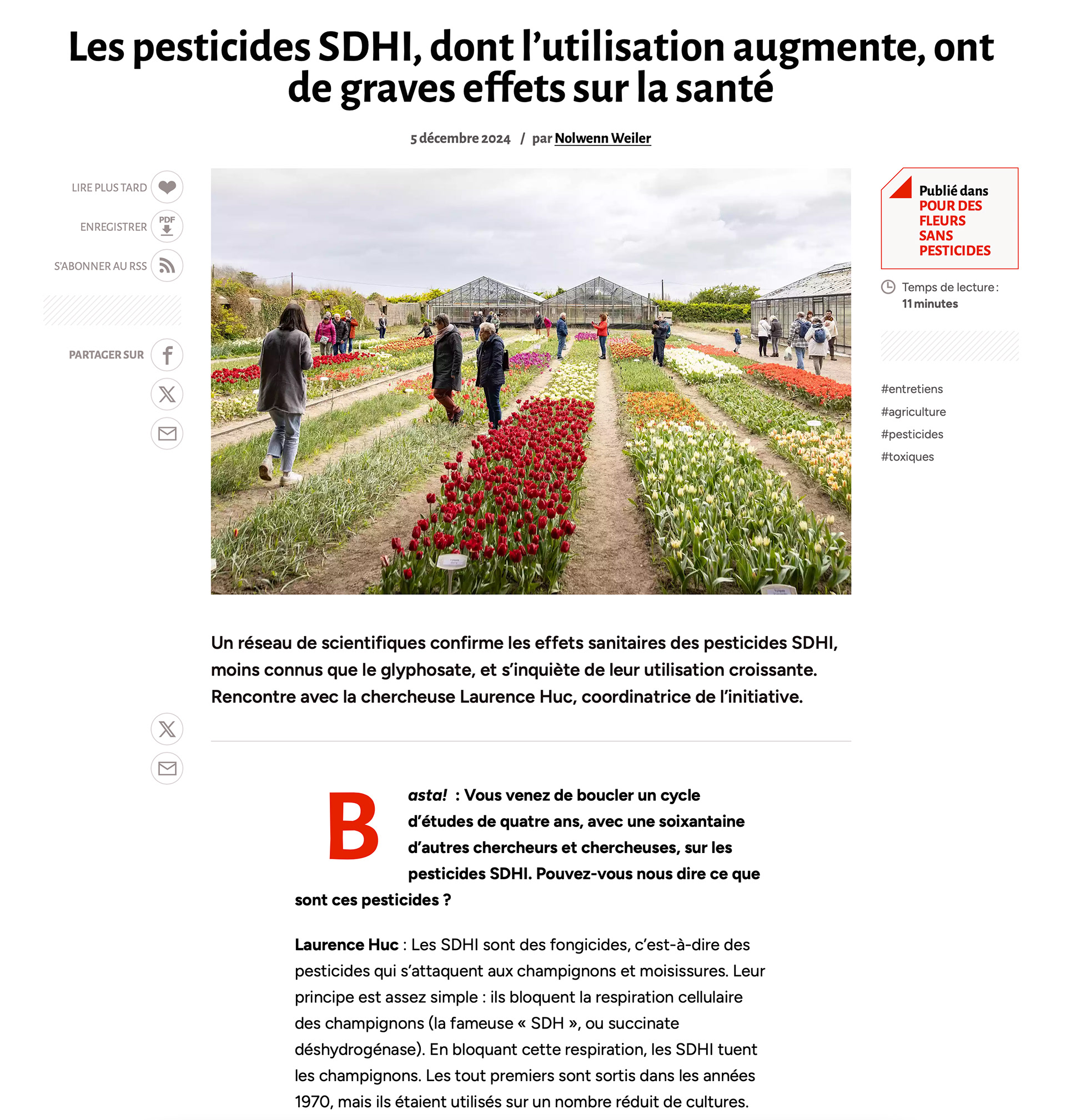 Article en ligne Basta!