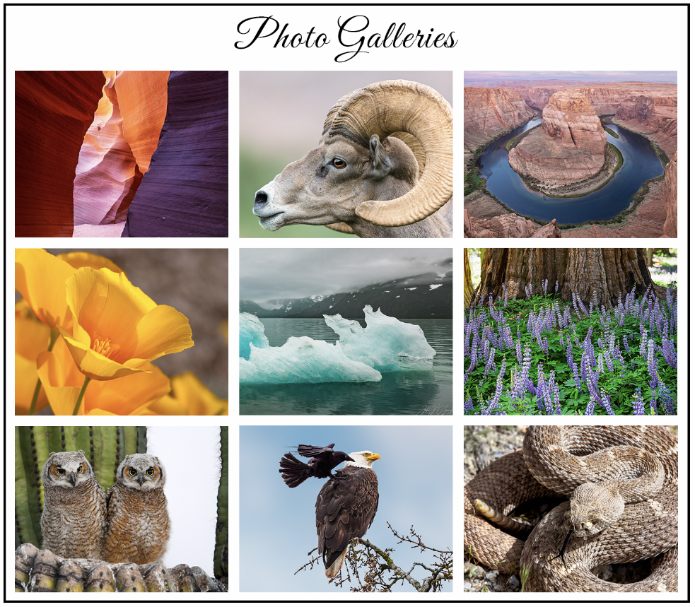 Link to Photo Galleries