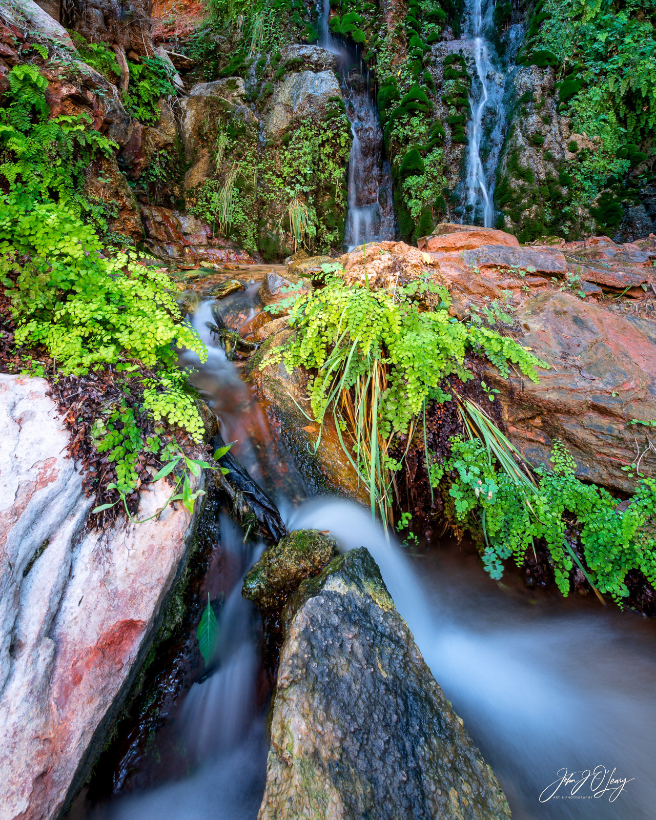 HIDDEN SPRING - UTAH