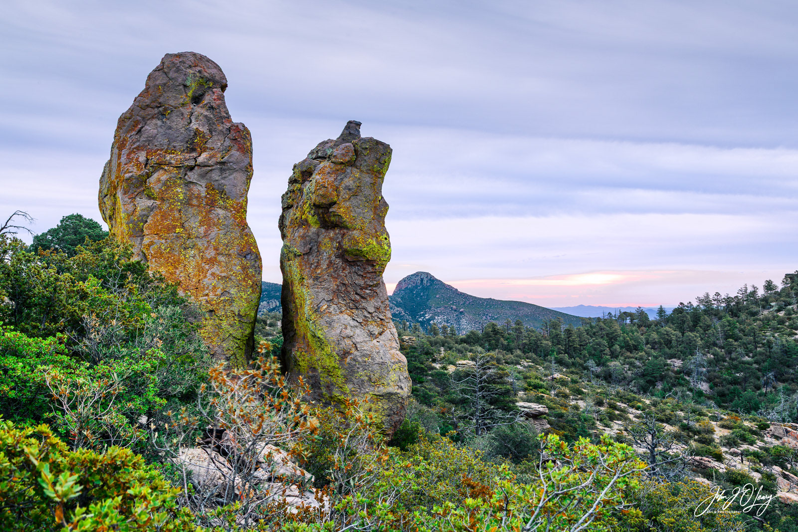 PAIR OF HOODOOS - ARIZONA
