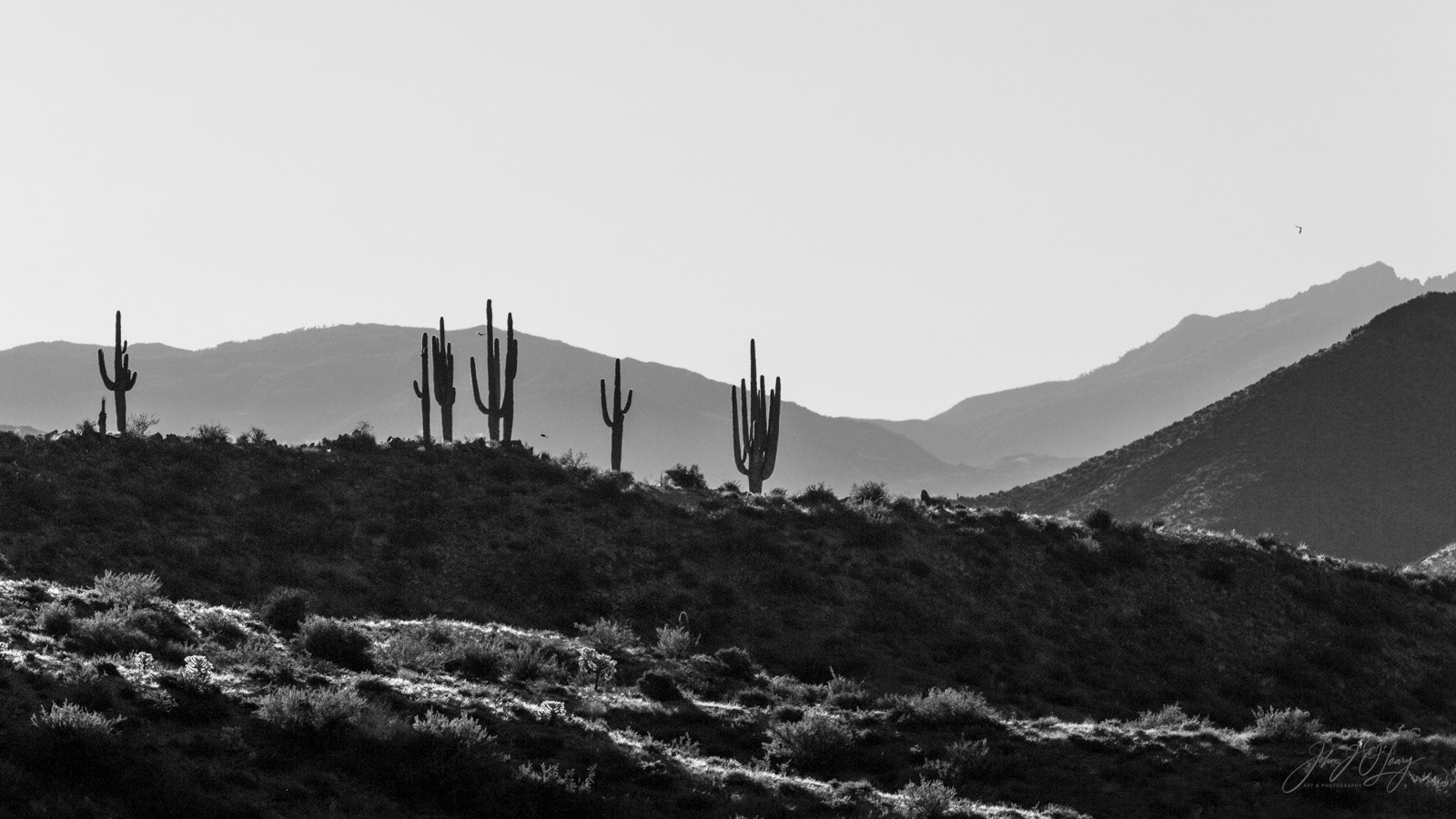 BARTLETT LAKE RIDGES | ARIZONA