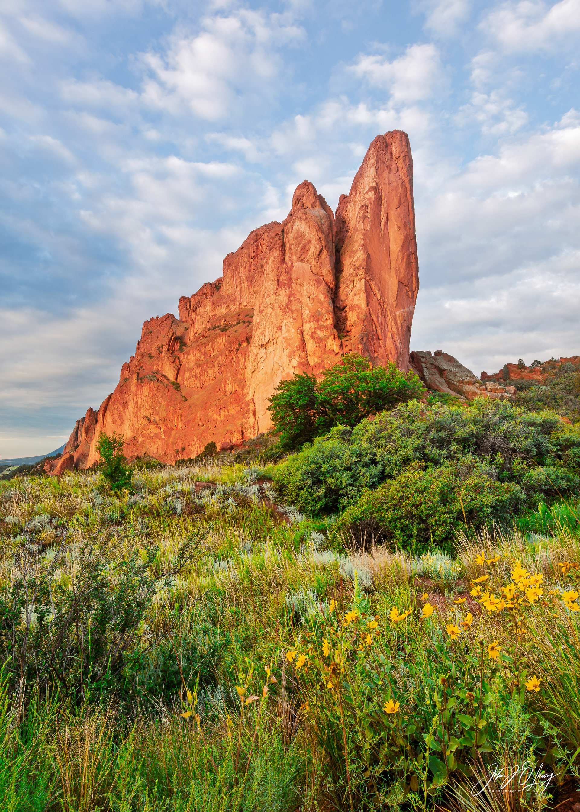 TOWER OF BABEL - COLORADO