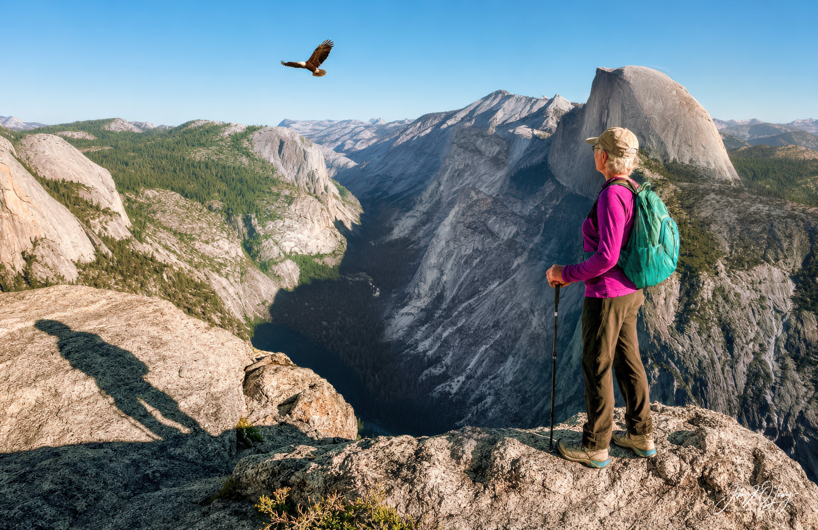 YOSEMITE VIEWPOINT
