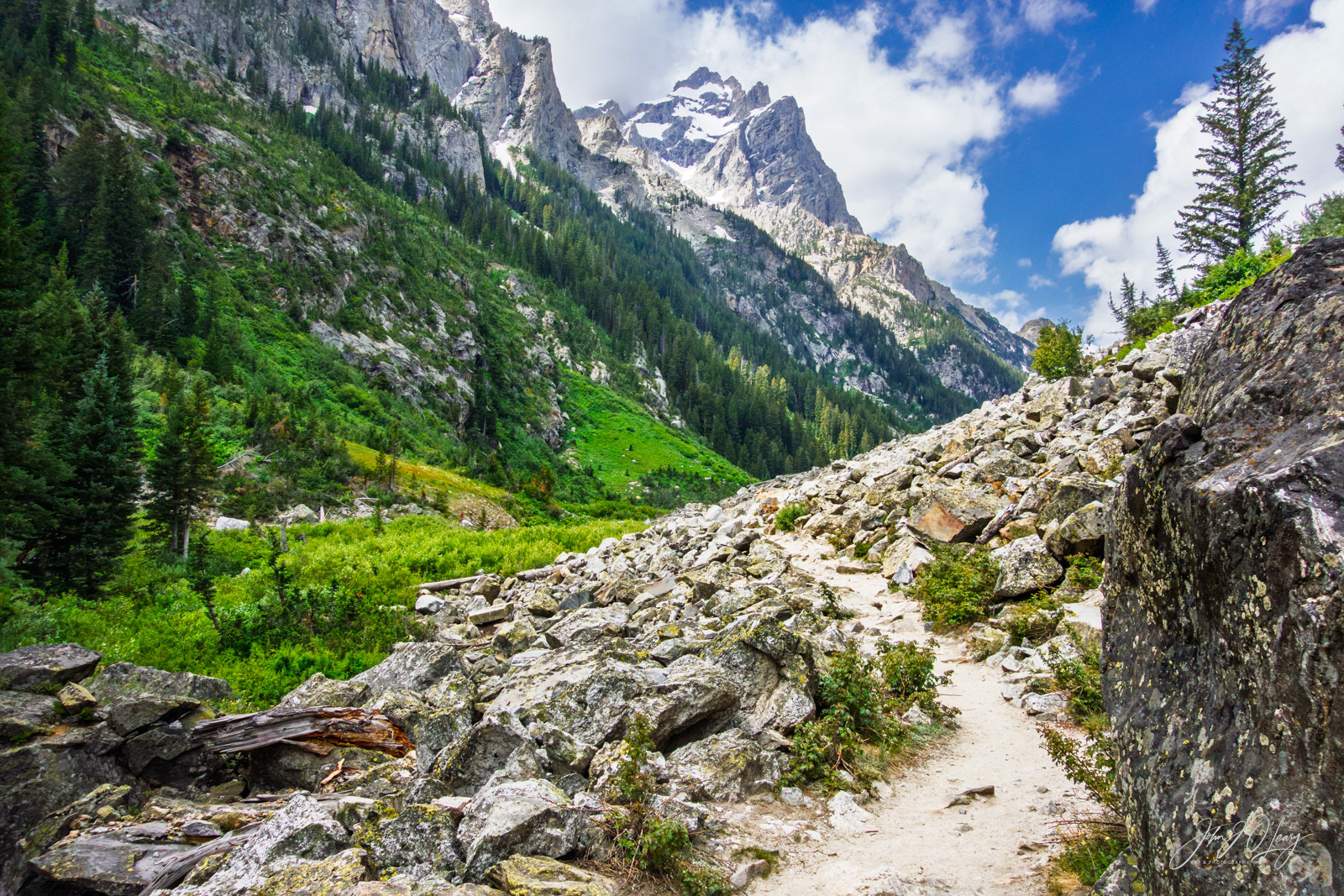 CASCADE CANYON | WYOMING
