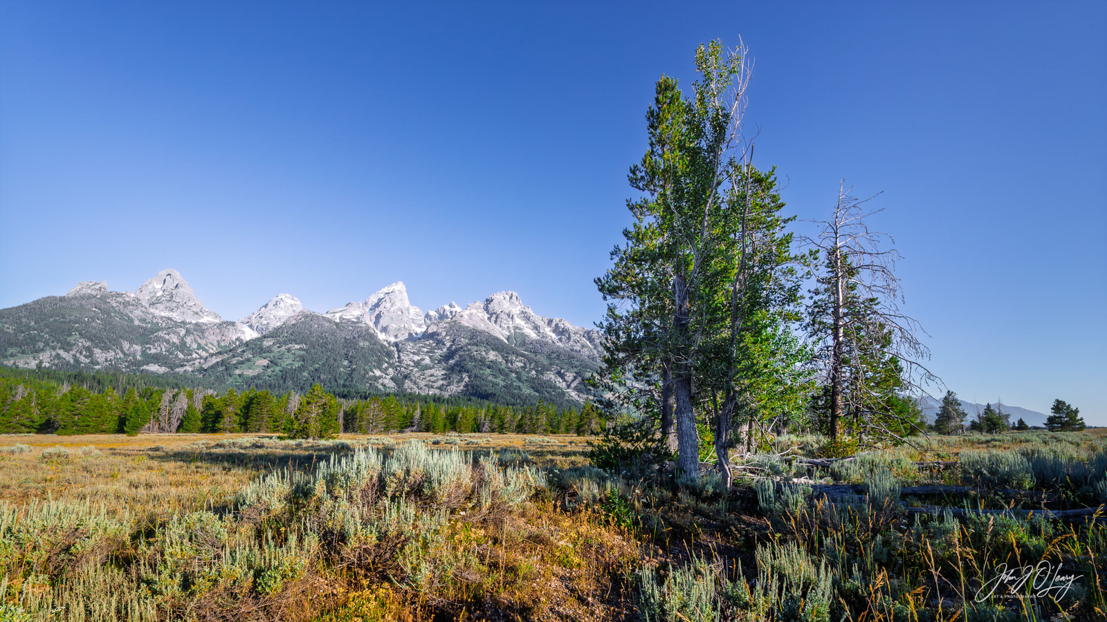 TETON RANGE AND SAGEBRUSH | WYOMING
