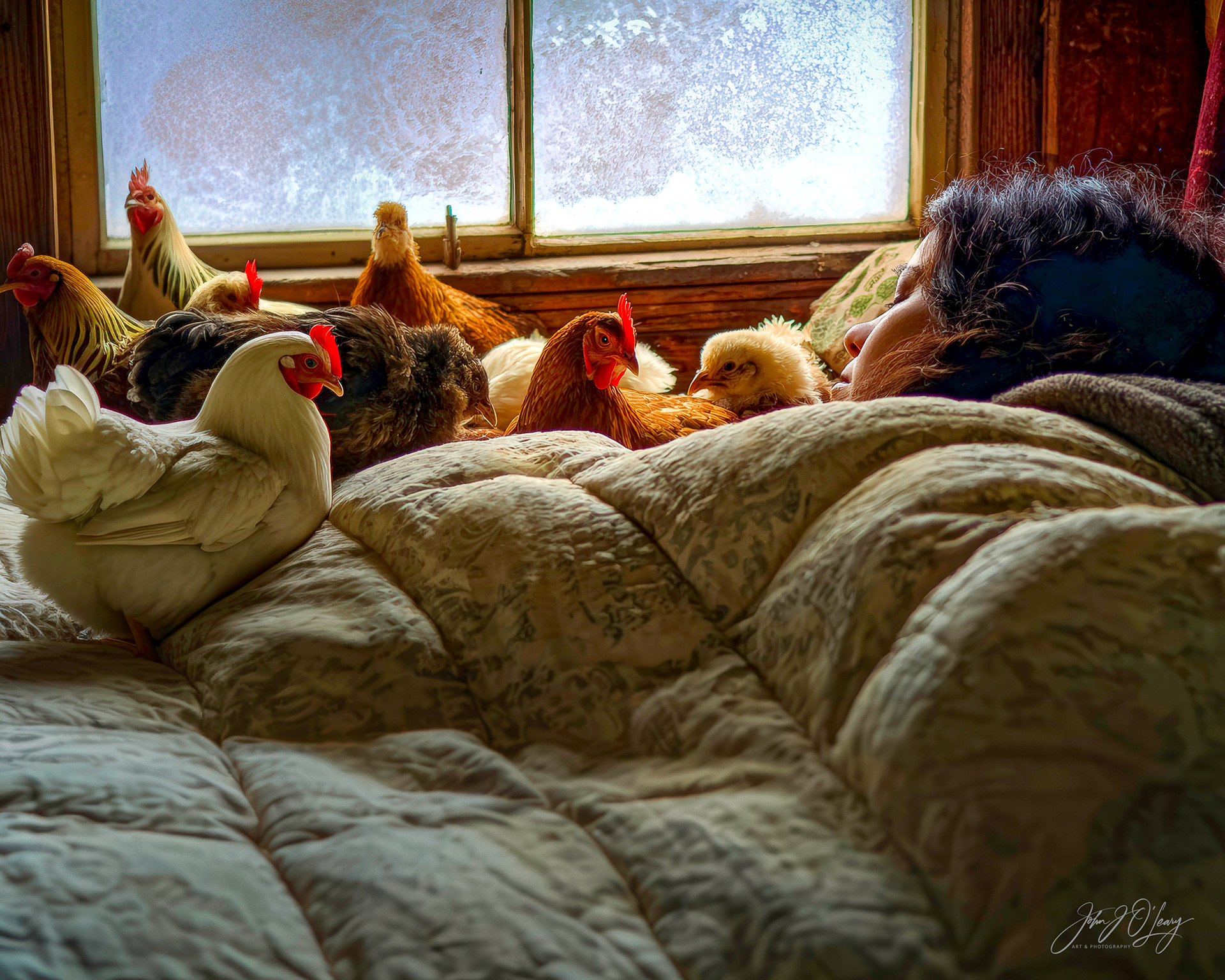 WOMAN AND CHICKENS ON A WINTER NIGHT