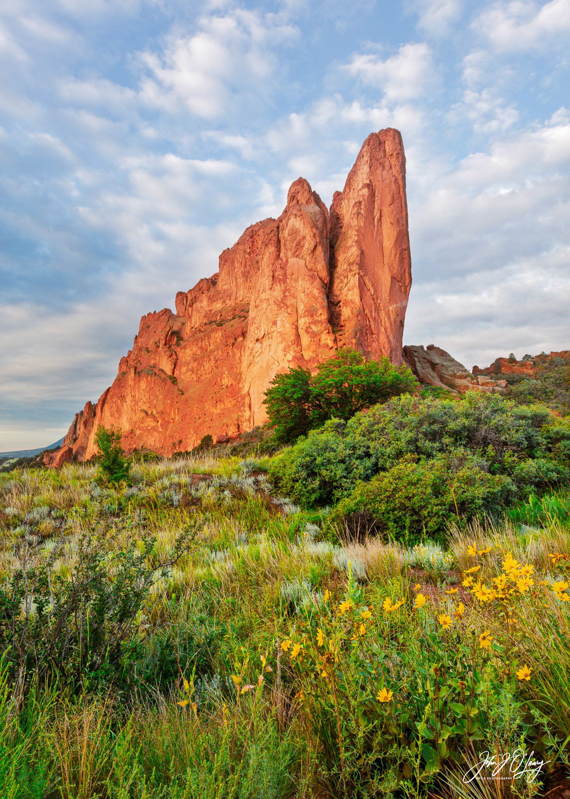 GARDEN OF THE GODS - COLORADO
