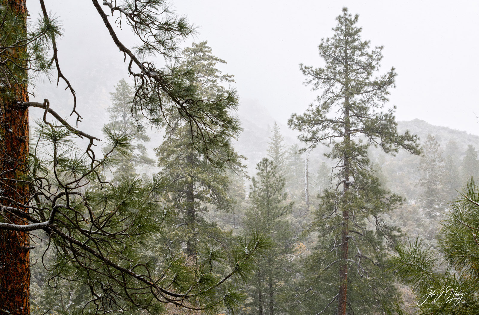 APRIL SNOW IN SEDONA - ARIZONA