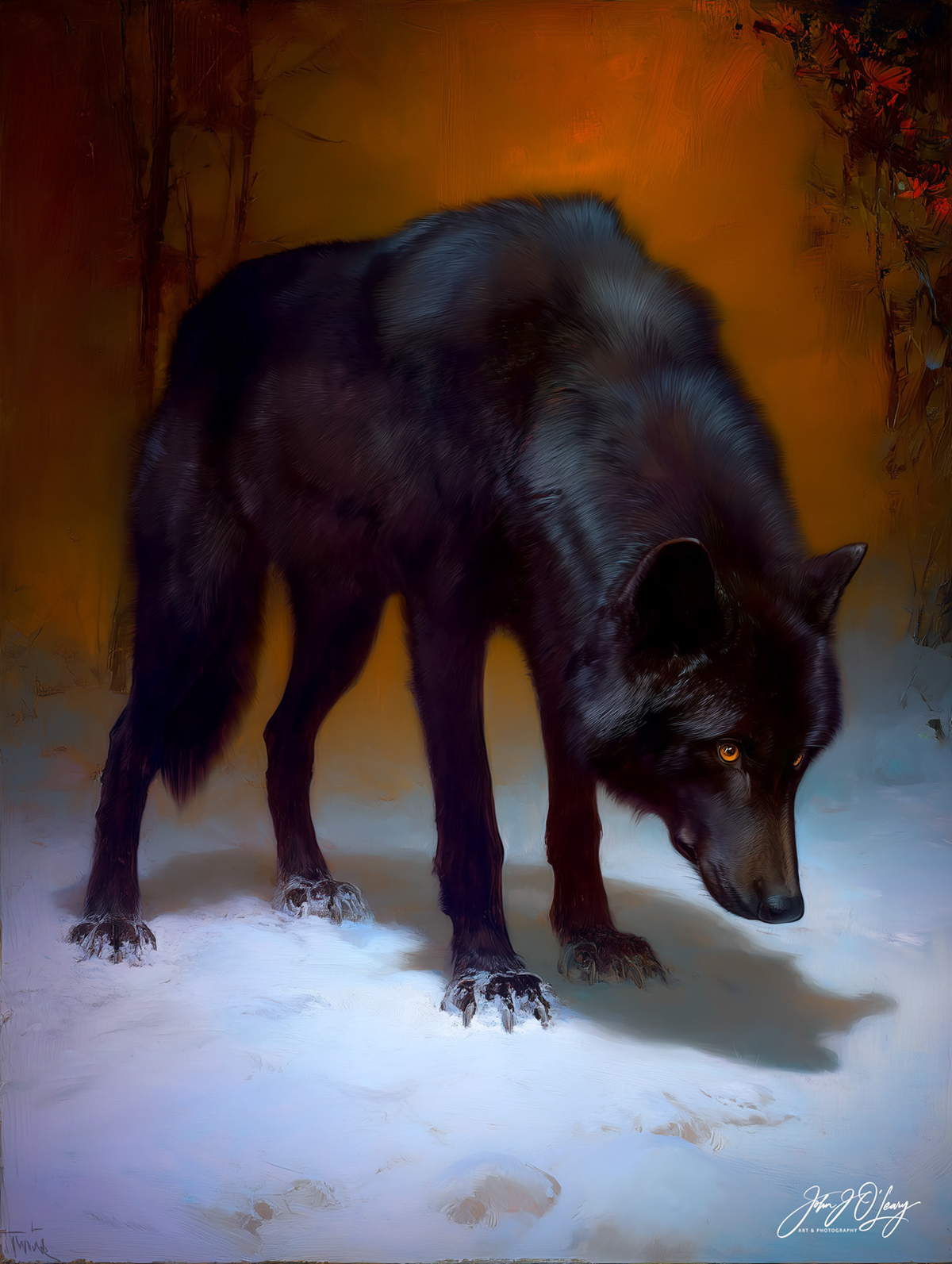 BLACK WOLF WAITING